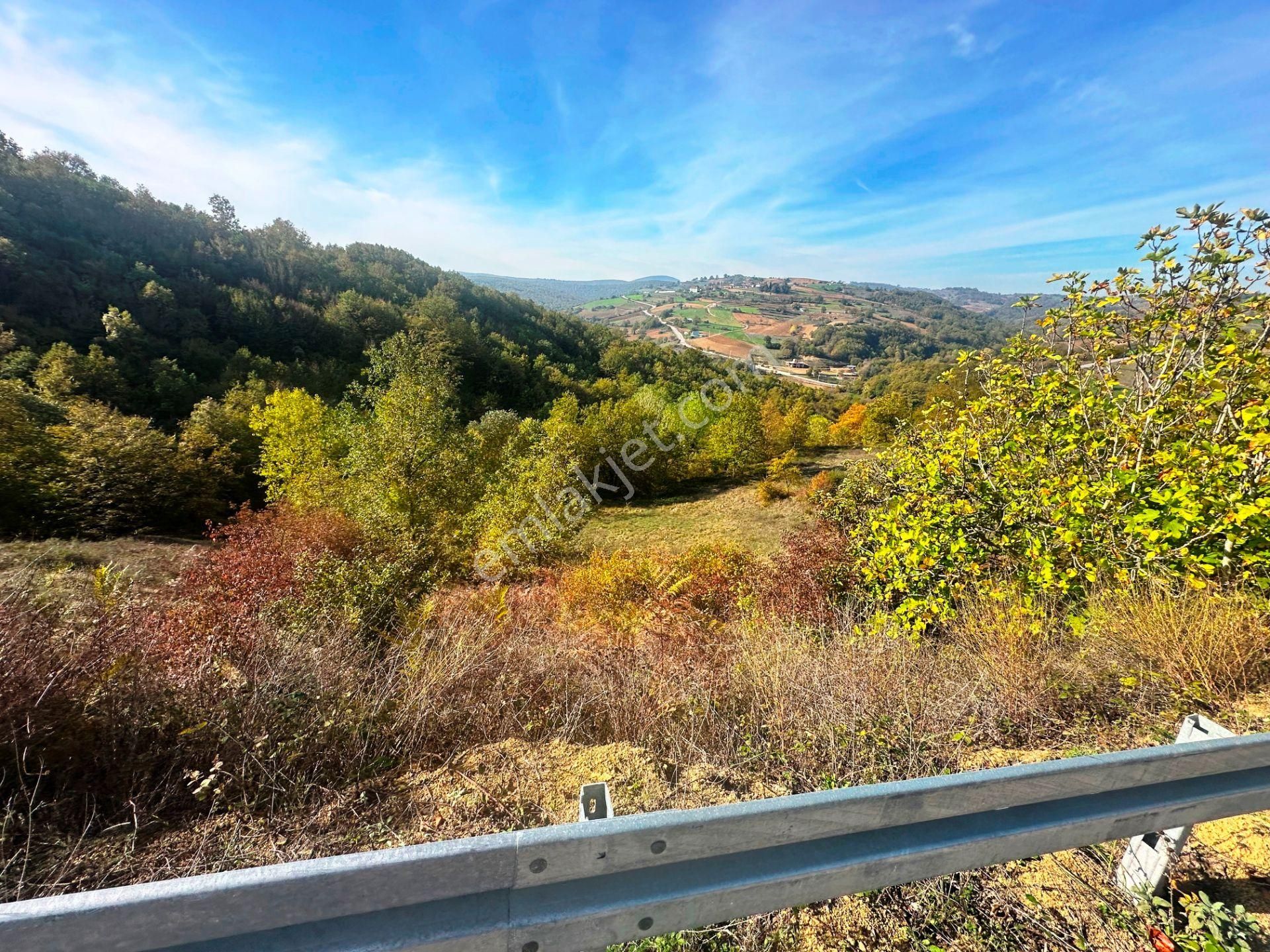 Kuzey Marmara Yolu Altı Gökçeören Köyü'nde 25.700m2 Satılık Arsa - Görsel 25