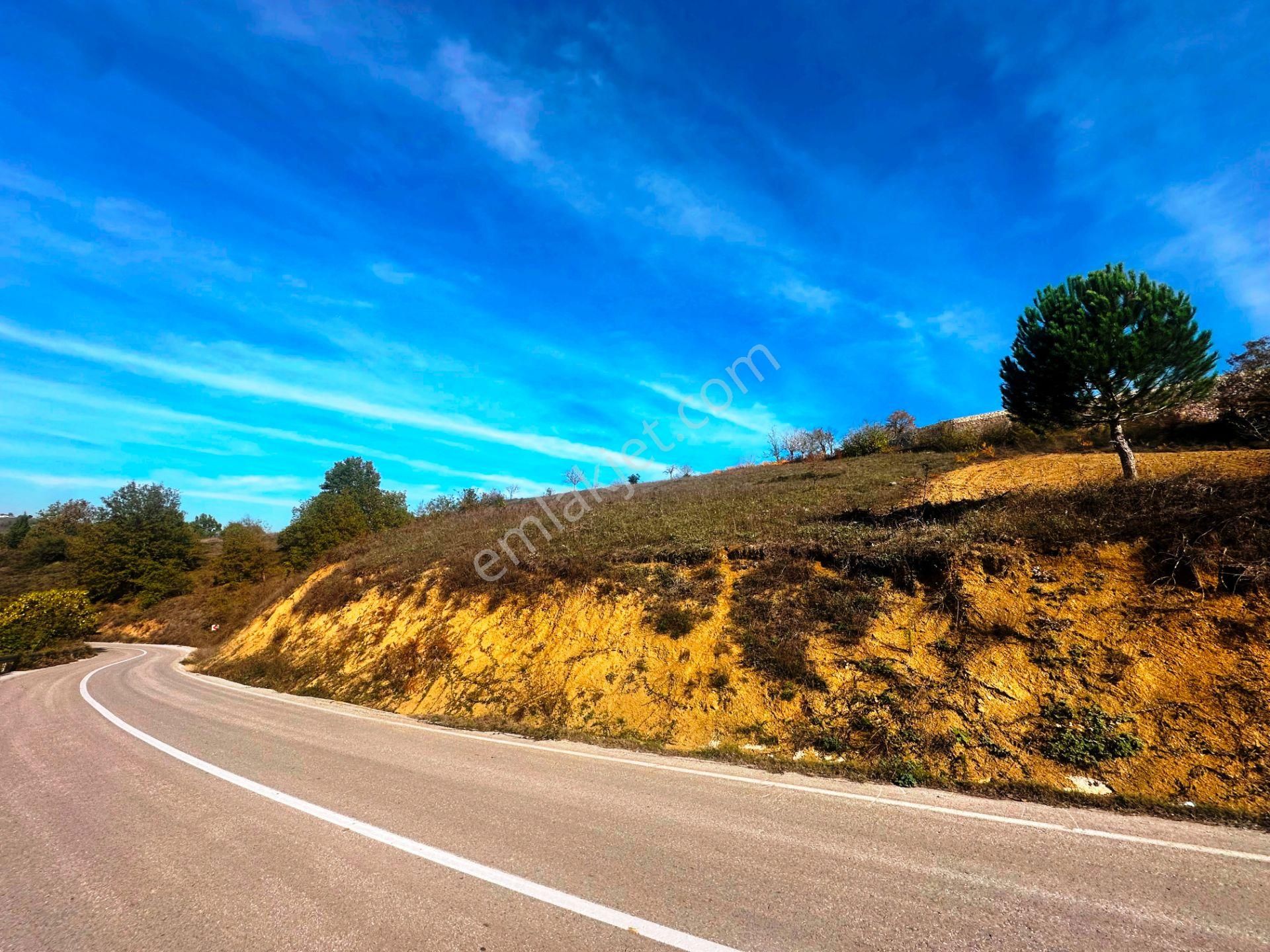 Kuzey Marmara Yolu Altı Gökçeören Köyü'nde 25.700m2 Satılık Arsa - Görsel 7