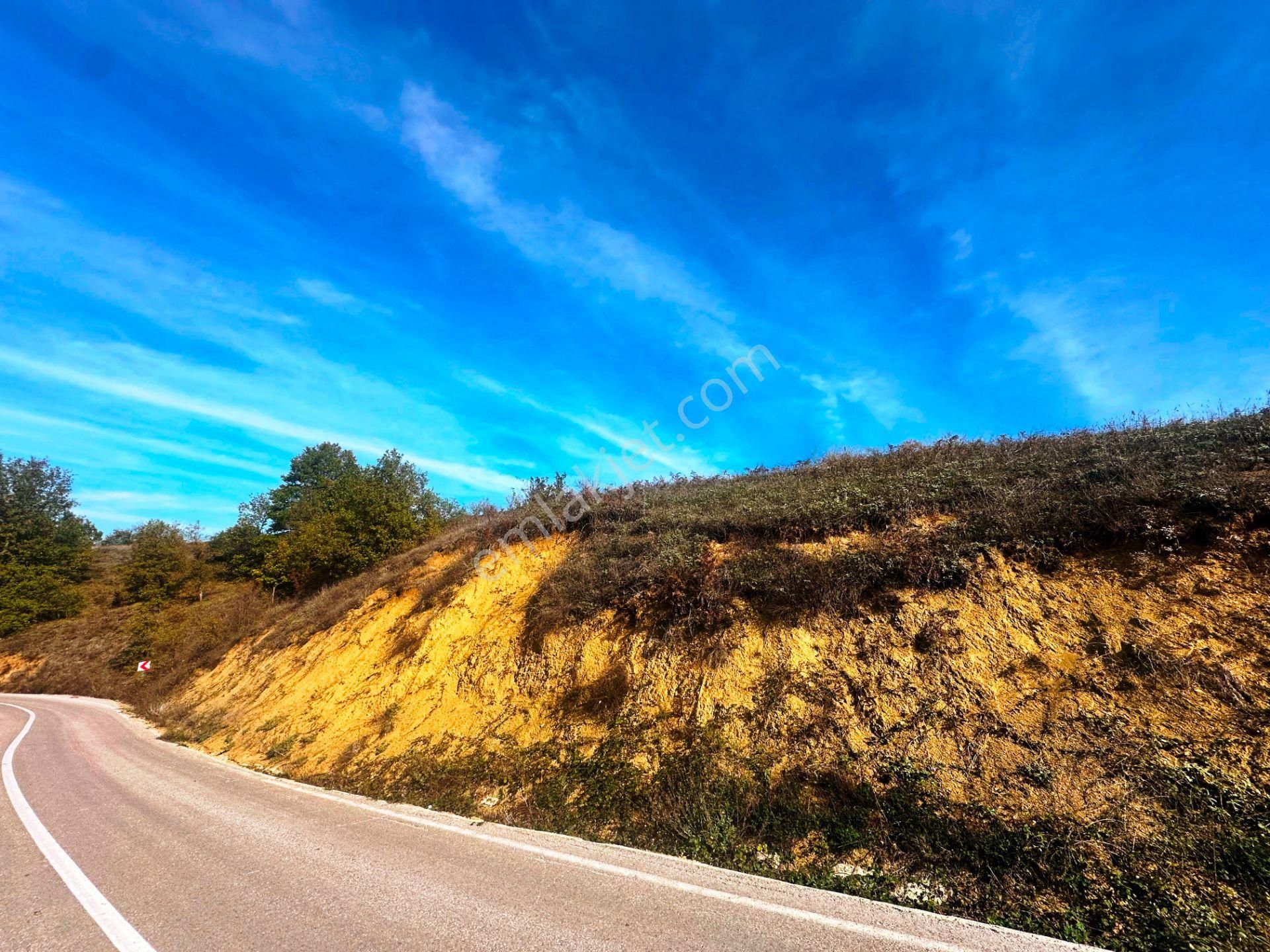 Kuzey Marmara Yolu Altı Gökçeören Köyü'nde 25.700m2 Satılık Arsa - Görsel 6