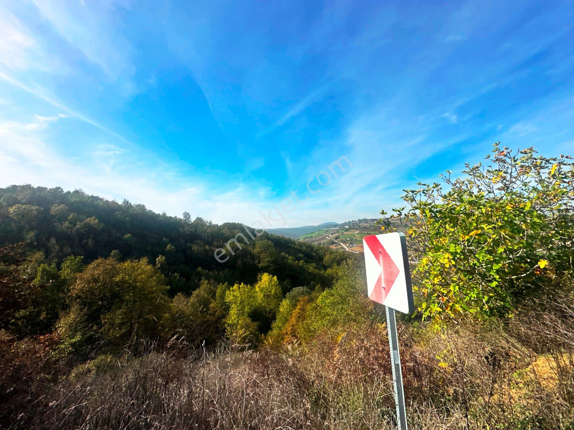 Kuzey Marmara Yolu Altı Gökçeören Köyü'nde 25.700m2 Satılık Arsa - Görsel 34