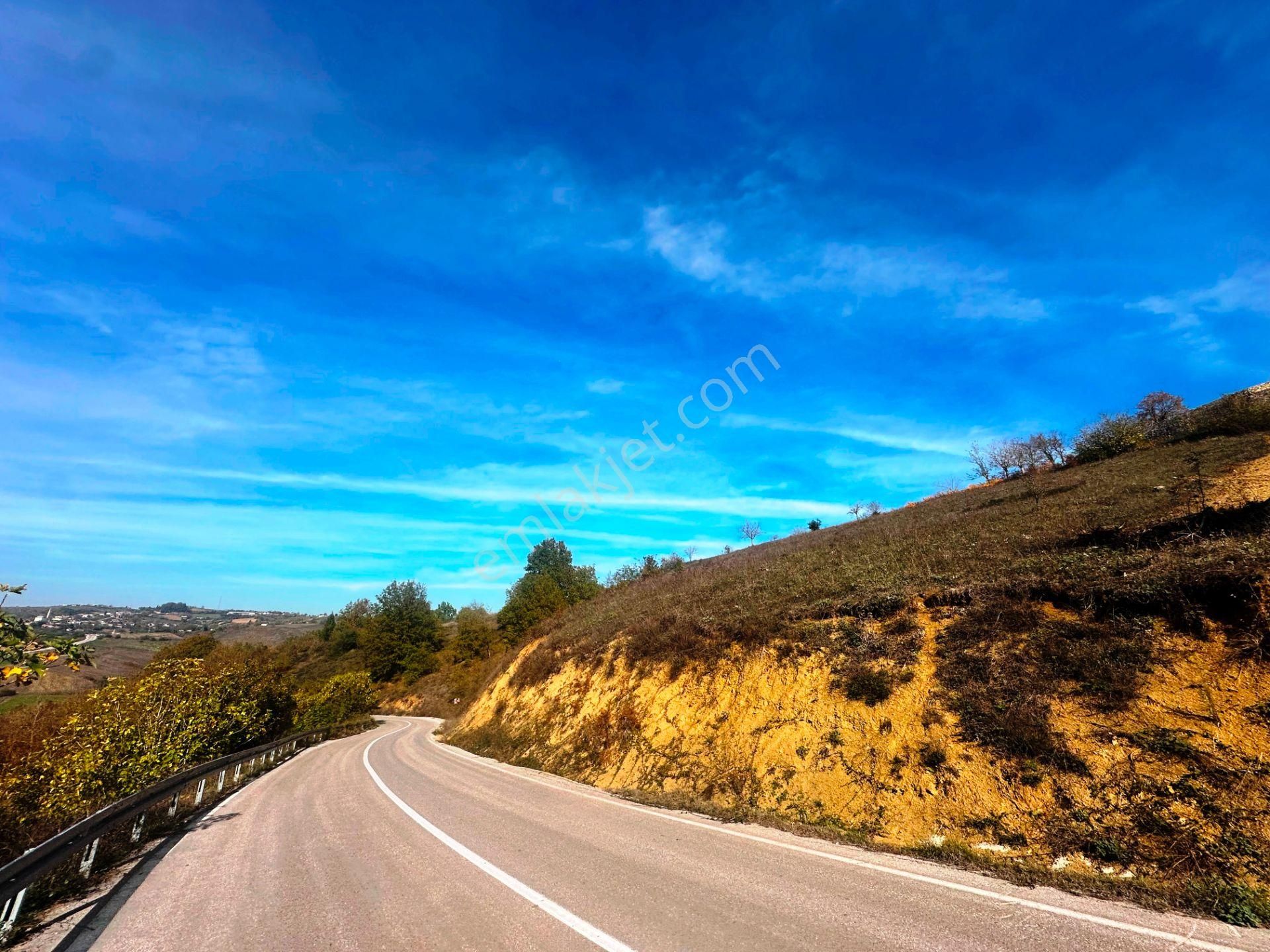 Kuzey Marmara Yolu Altı Gökçeören Köyü'nde 25.700m2 Satılık Arsa - Görsel 3