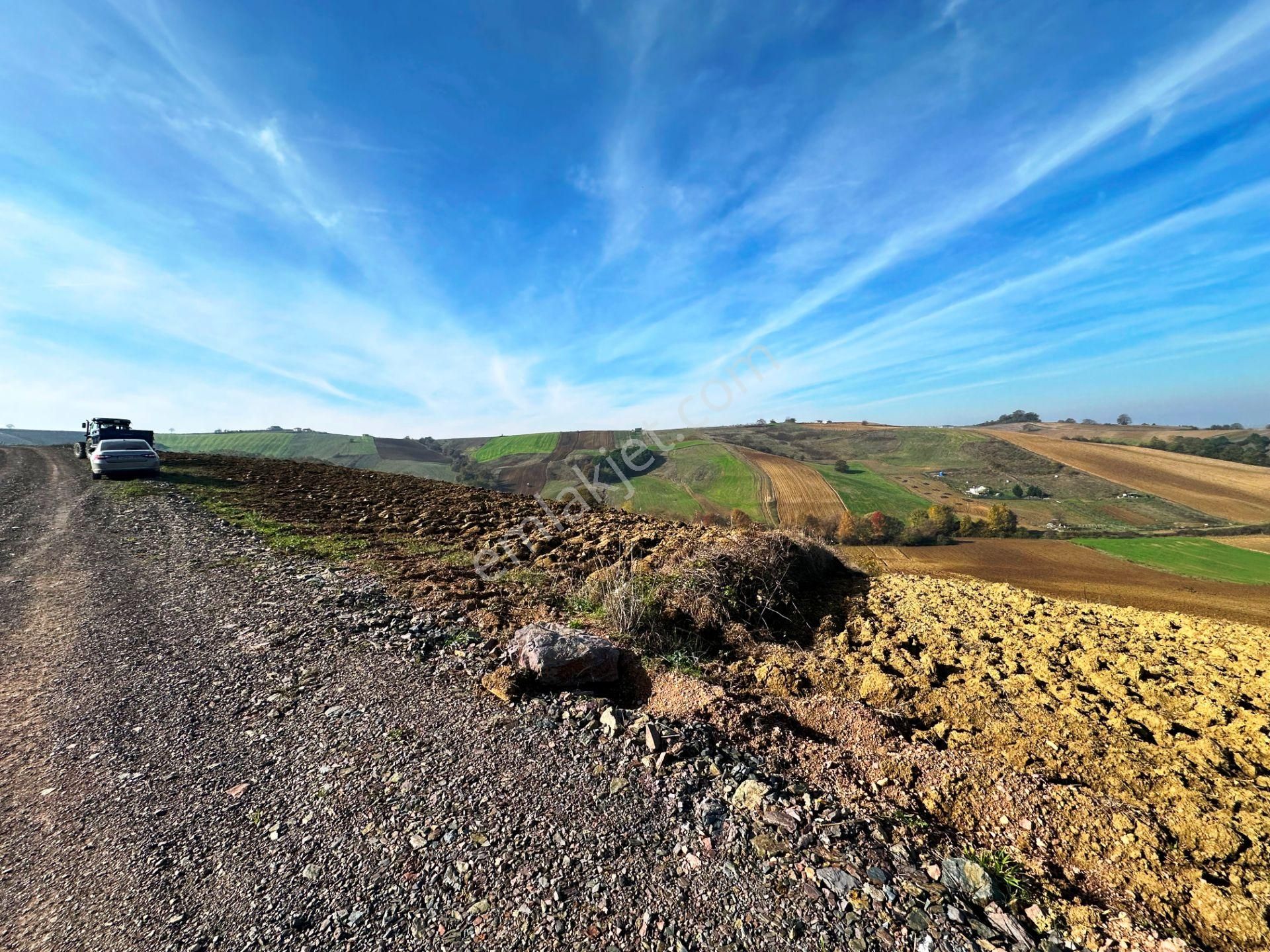 Kocaeli Üniversitesi Yakını 5 Dönüm Müstakil Parsel Satılık Arsa - Görsel 9
