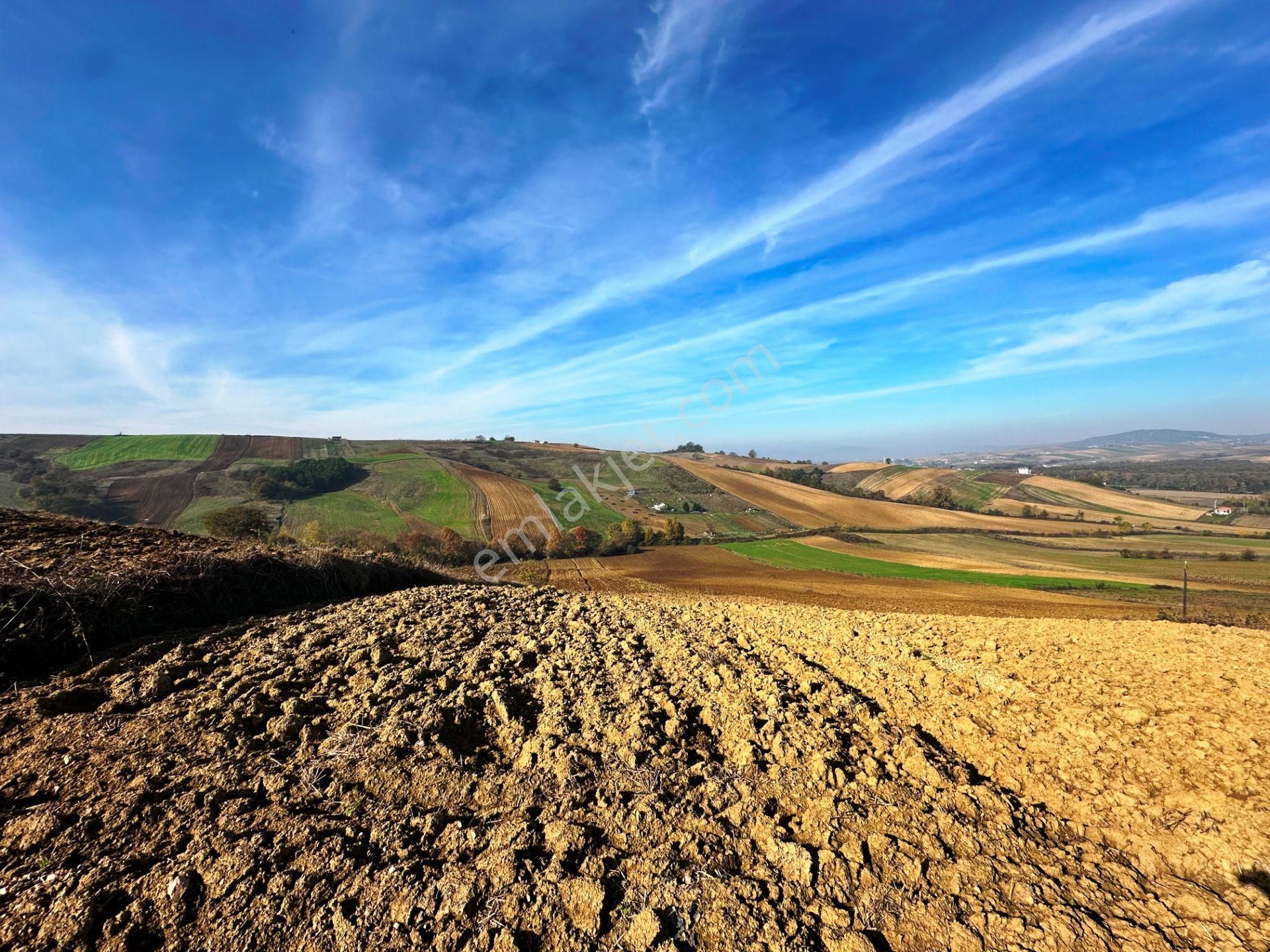 Kocaeli Üniversitesi Yakını 5 Dönüm Müstakil Parsel Satılık Arsa - Görsel 33