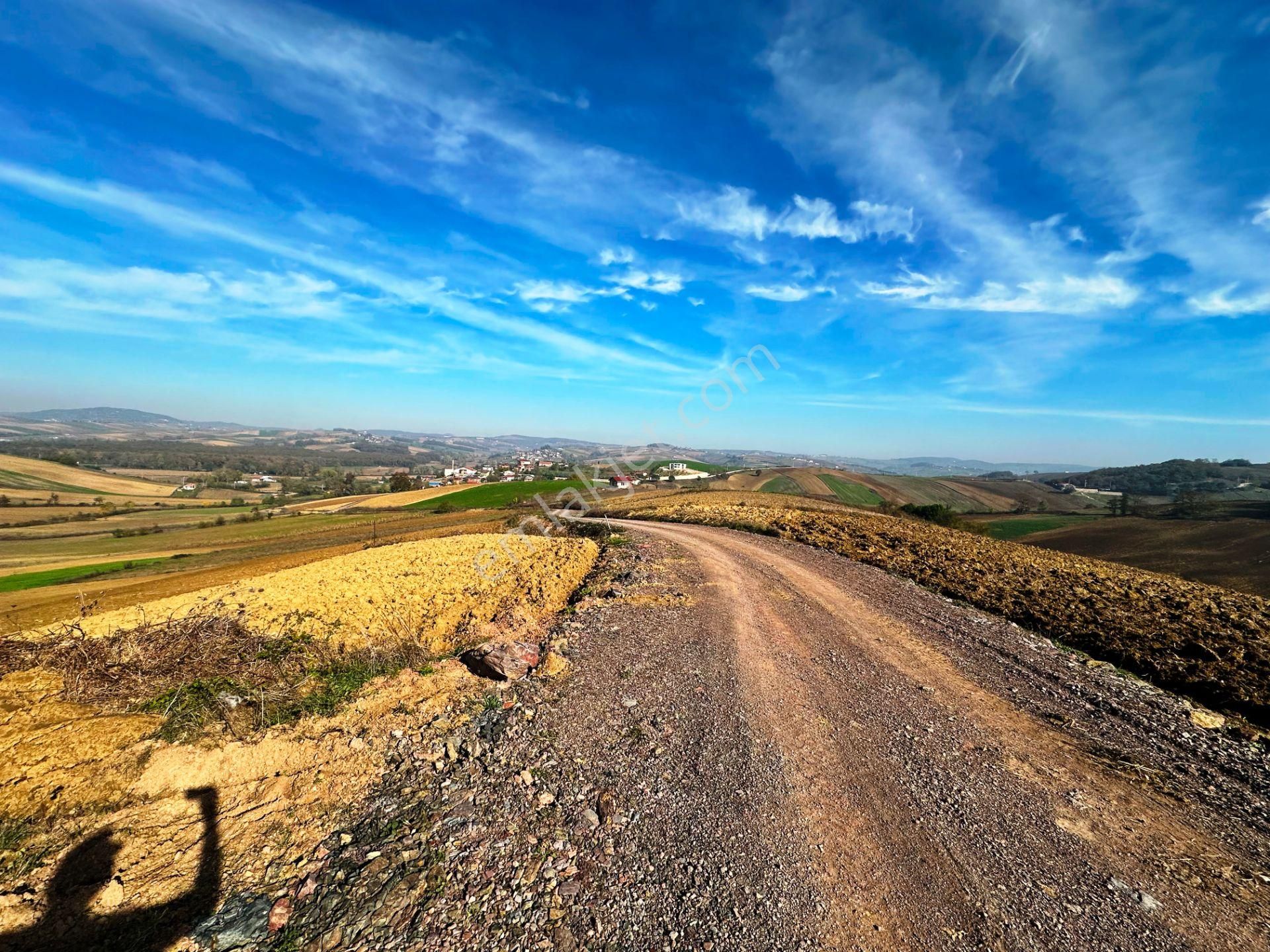 Kocaeli Üniversitesi Yakını 5 Dönüm Müstakil Parsel Satılık Arsa - Görsel 14