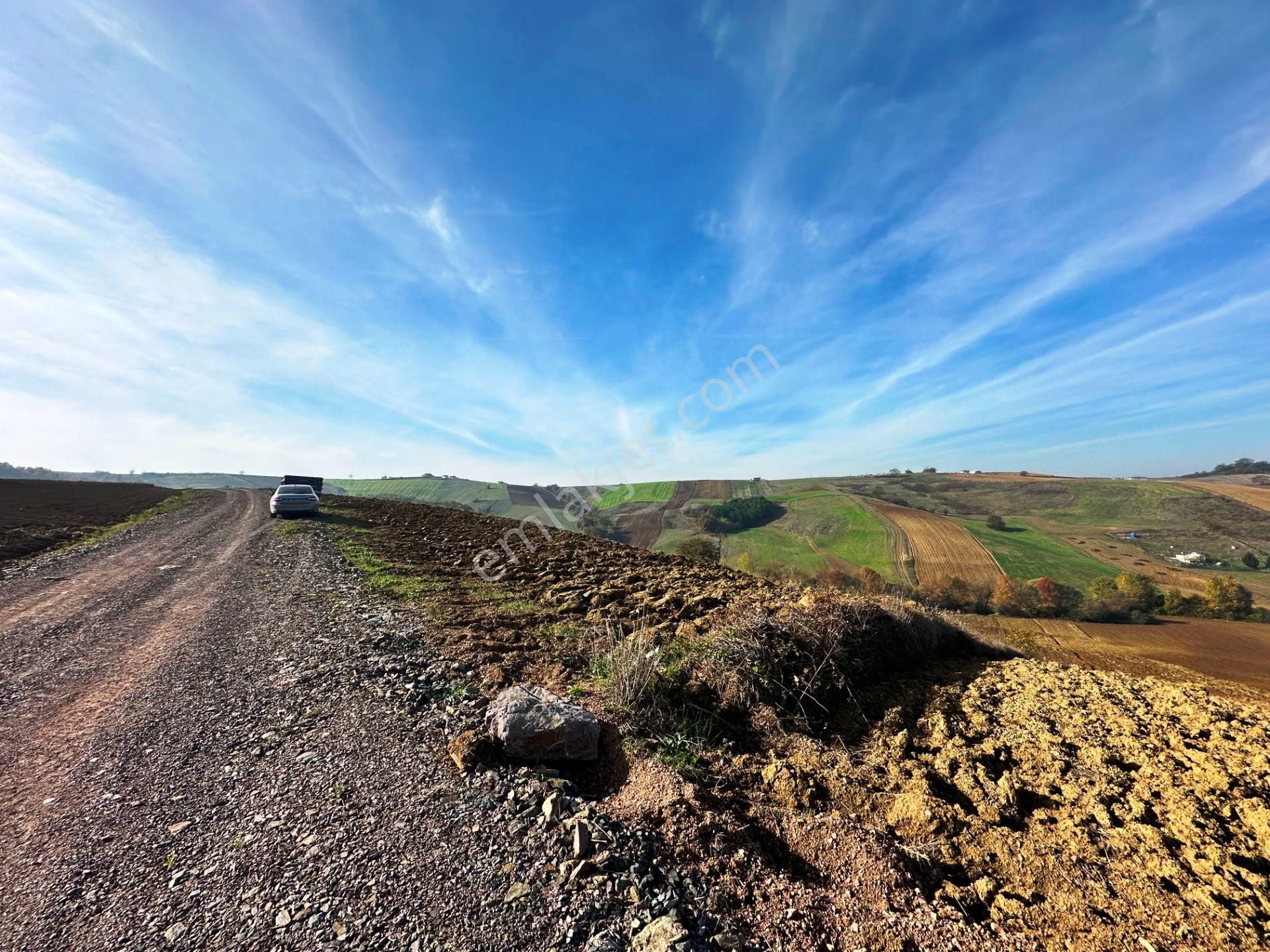 Kocaeli Üniversitesi Yakını 5 Dönüm Müstakil Parsel Satılık Arsa - Görsel 3