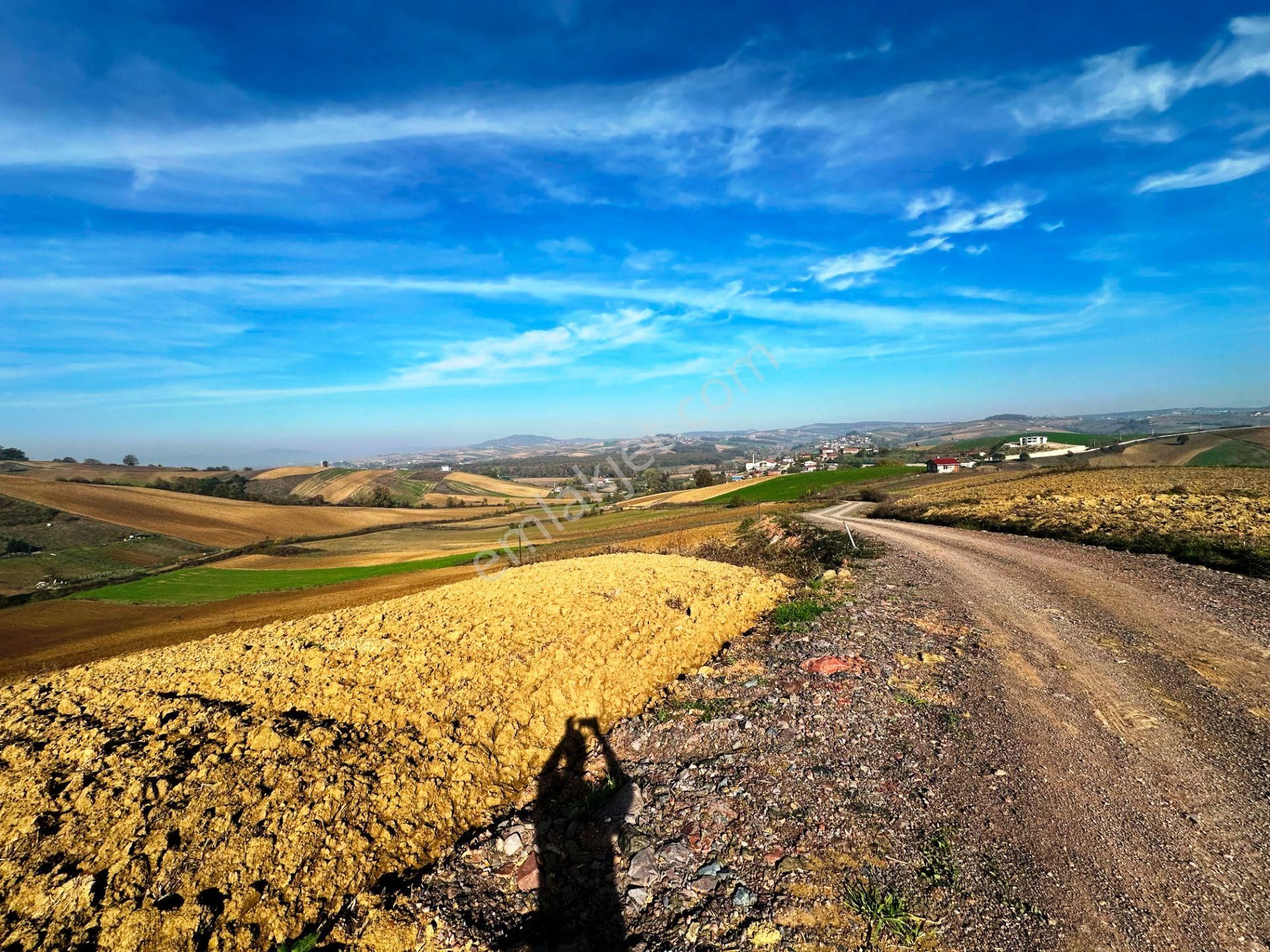 Kocaeli Üniversitesi Yakını 5 Dönüm Müstakil Parsel Satılık Arsa - Görsel 18