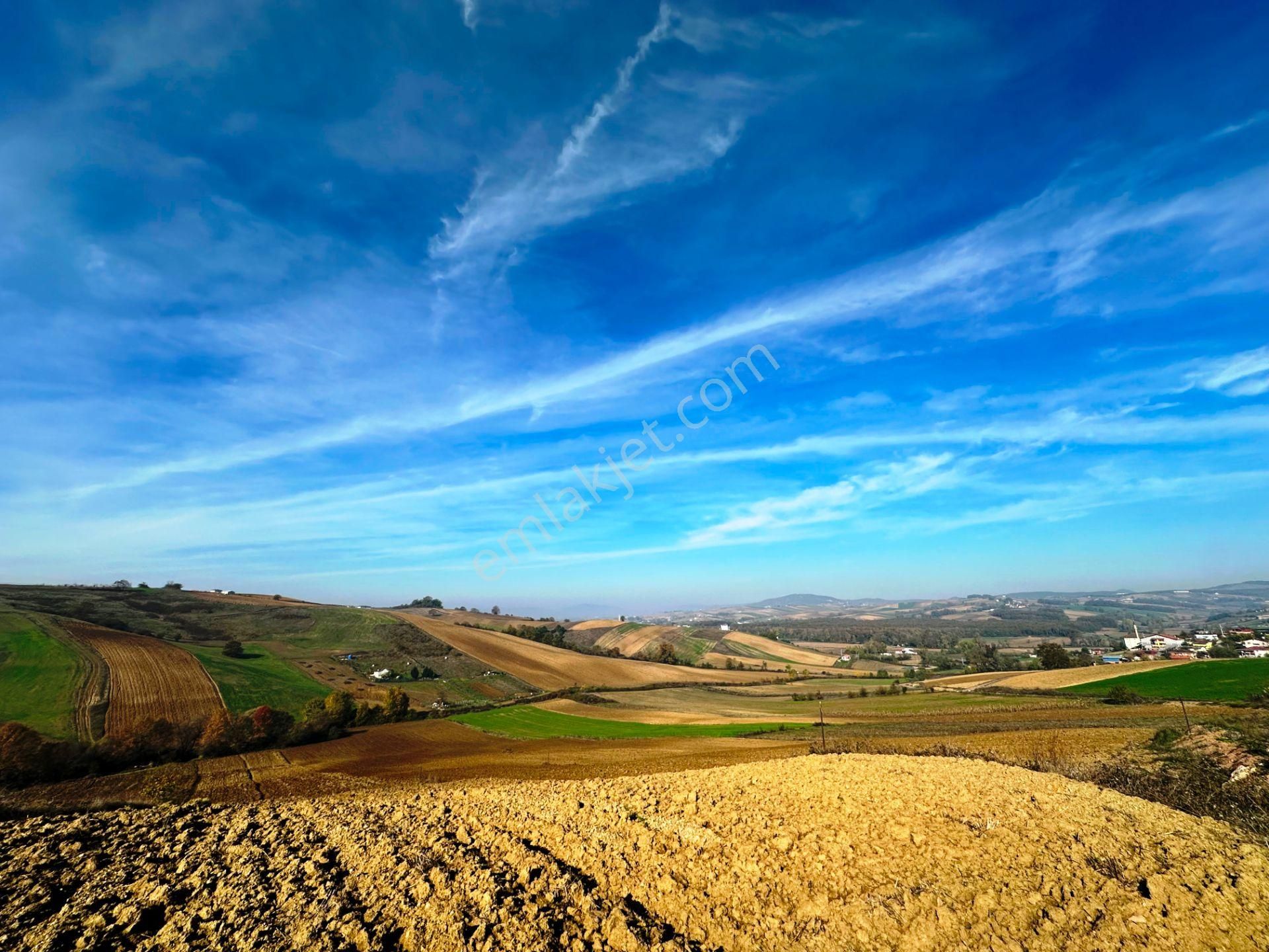 Kocaeli Üniversitesi Yakını 5 Dönüm Müstakil Parsel Satılık Arsa - Görsel 34