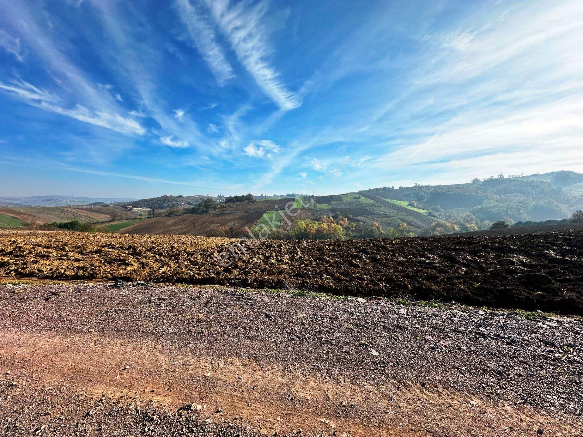 Kocaeli Üniversitesi Yakını 5 Dönüm Müstakil Parsel Satılık Arsa - Görsel 26