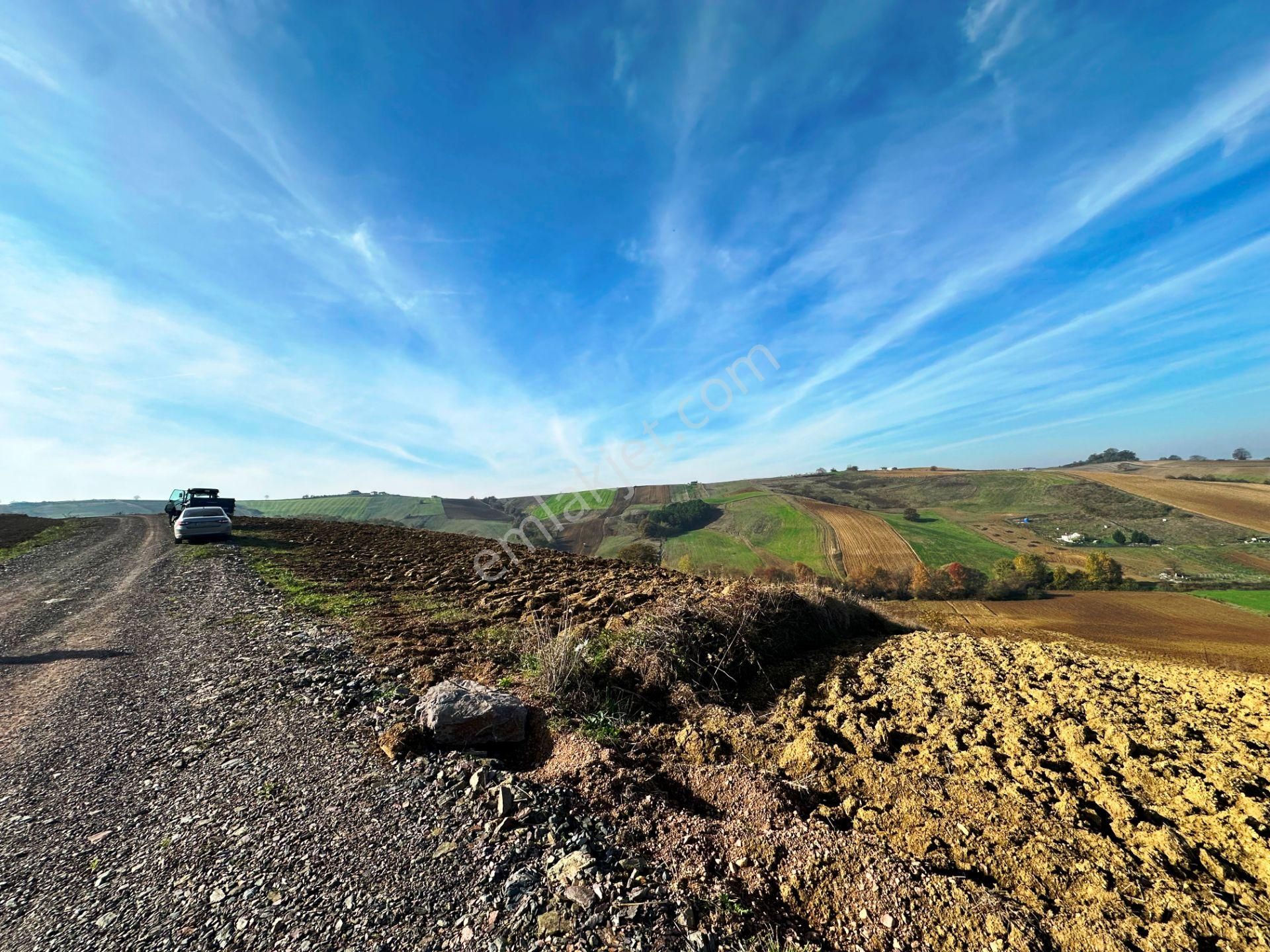 Kocaeli Üniversitesi Yakını 5 Dönüm Müstakil Parsel Satılık Arsa - Görsel 8