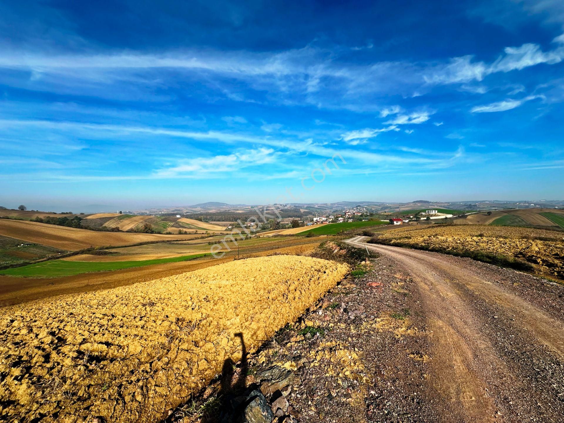 Kocaeli Üniversitesi Yakını 5 Dönüm Müstakil Parsel Satılık Arsa - Görsel 20