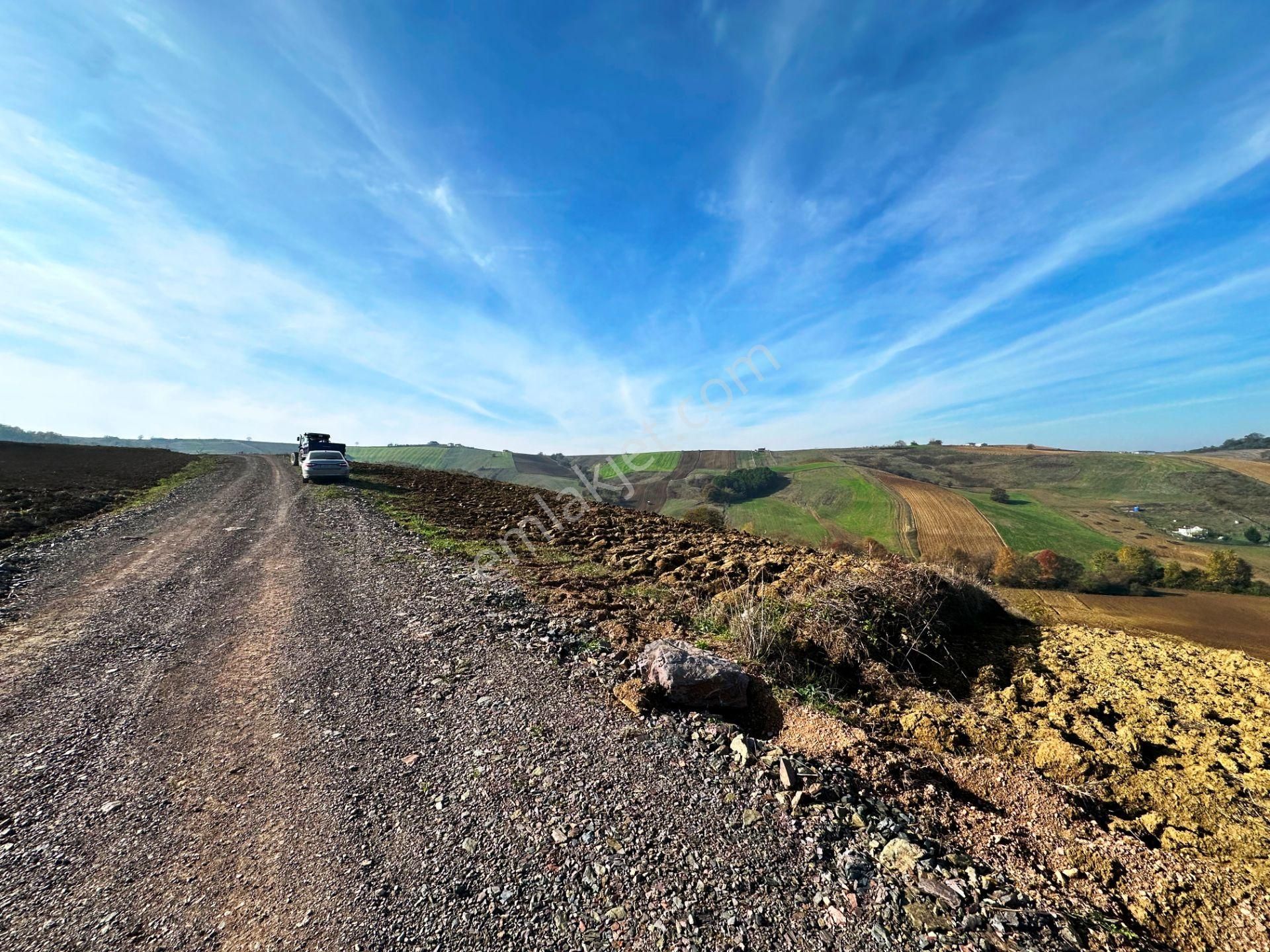 Kocaeli Üniversitesi Yakını 5 Dönüm Müstakil Parsel Satılık Arsa - Görsel 10