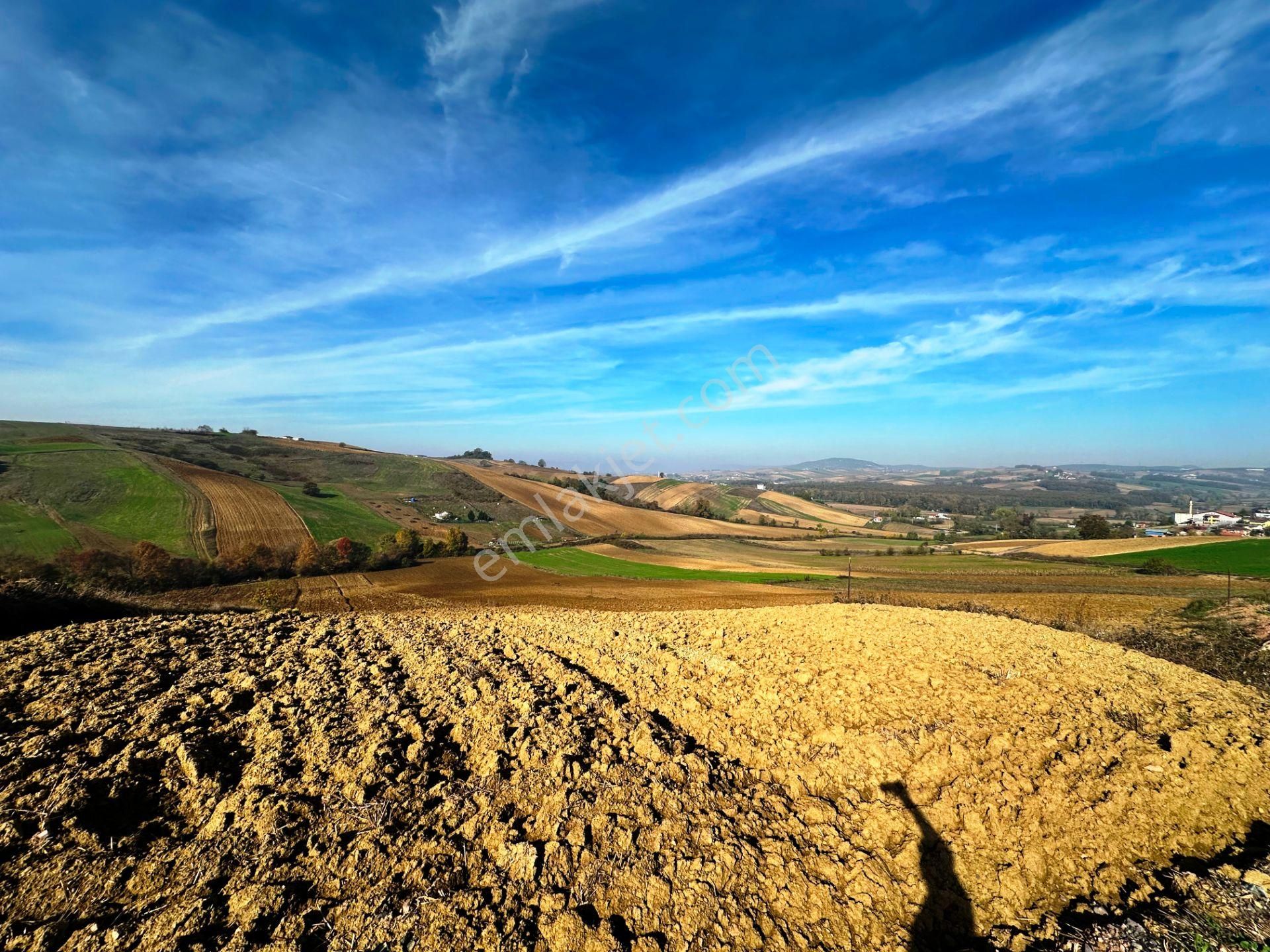 Kocaeli Üniversitesi Yakını 5 Dönüm Müstakil Parsel Satılık Arsa - Görsel 29