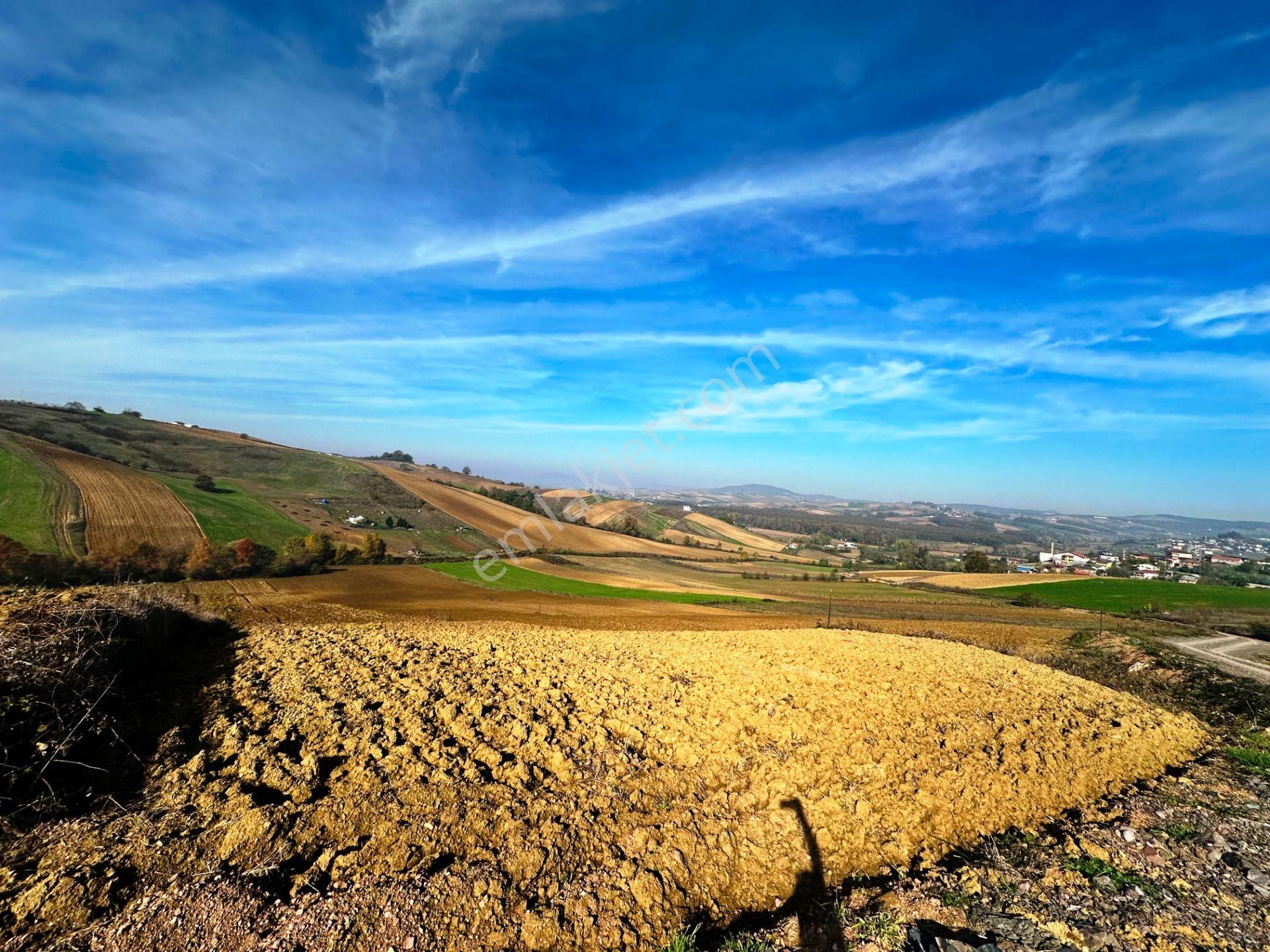Kocaeli Üniversitesi Yakını 5 Dönüm Müstakil Parsel Satılık Arsa - Görsel 30
