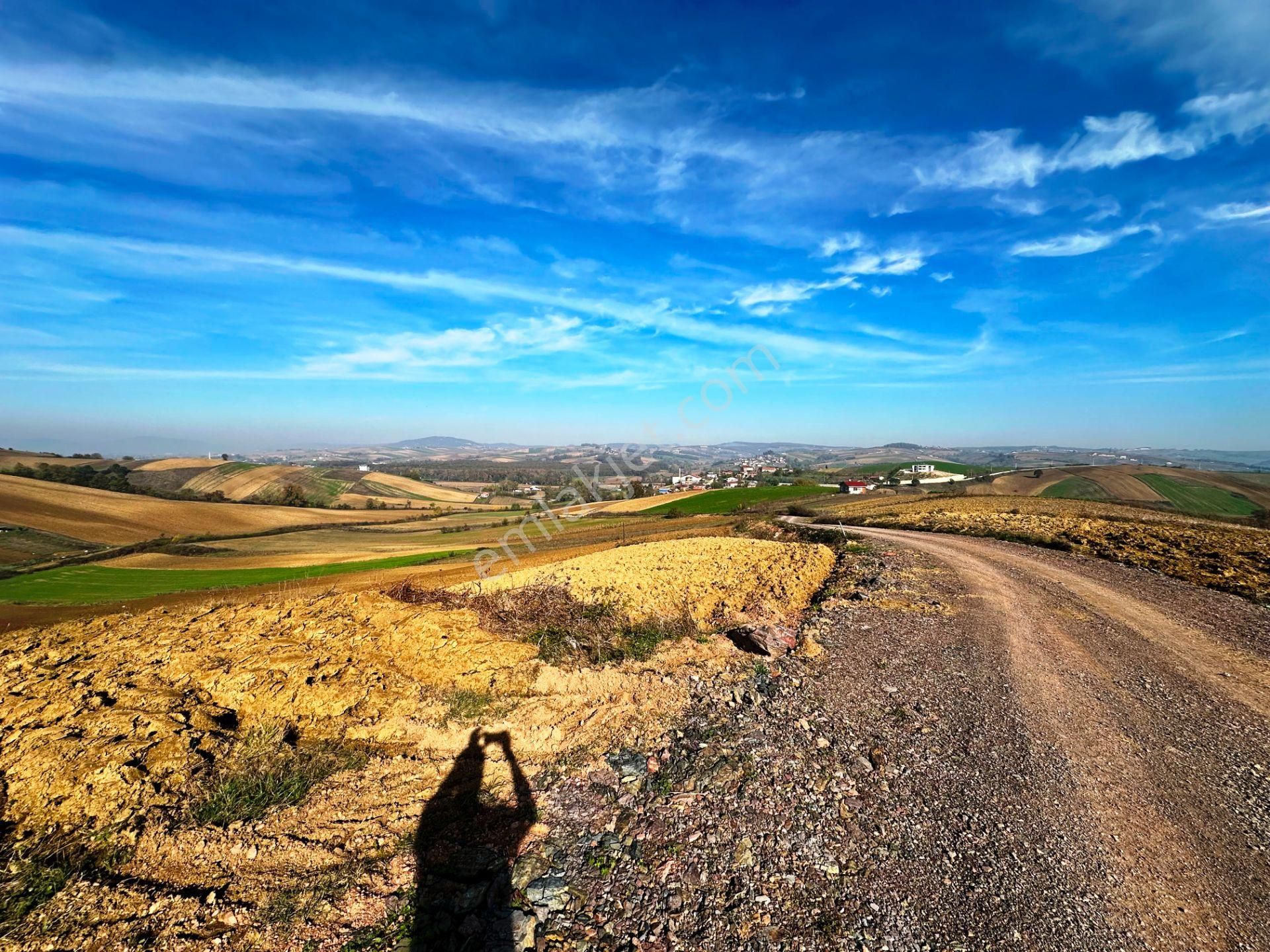 Kocaeli Üniversitesi Yakını 5 Dönüm Müstakil Parsel Satılık Arsa - Görsel 15