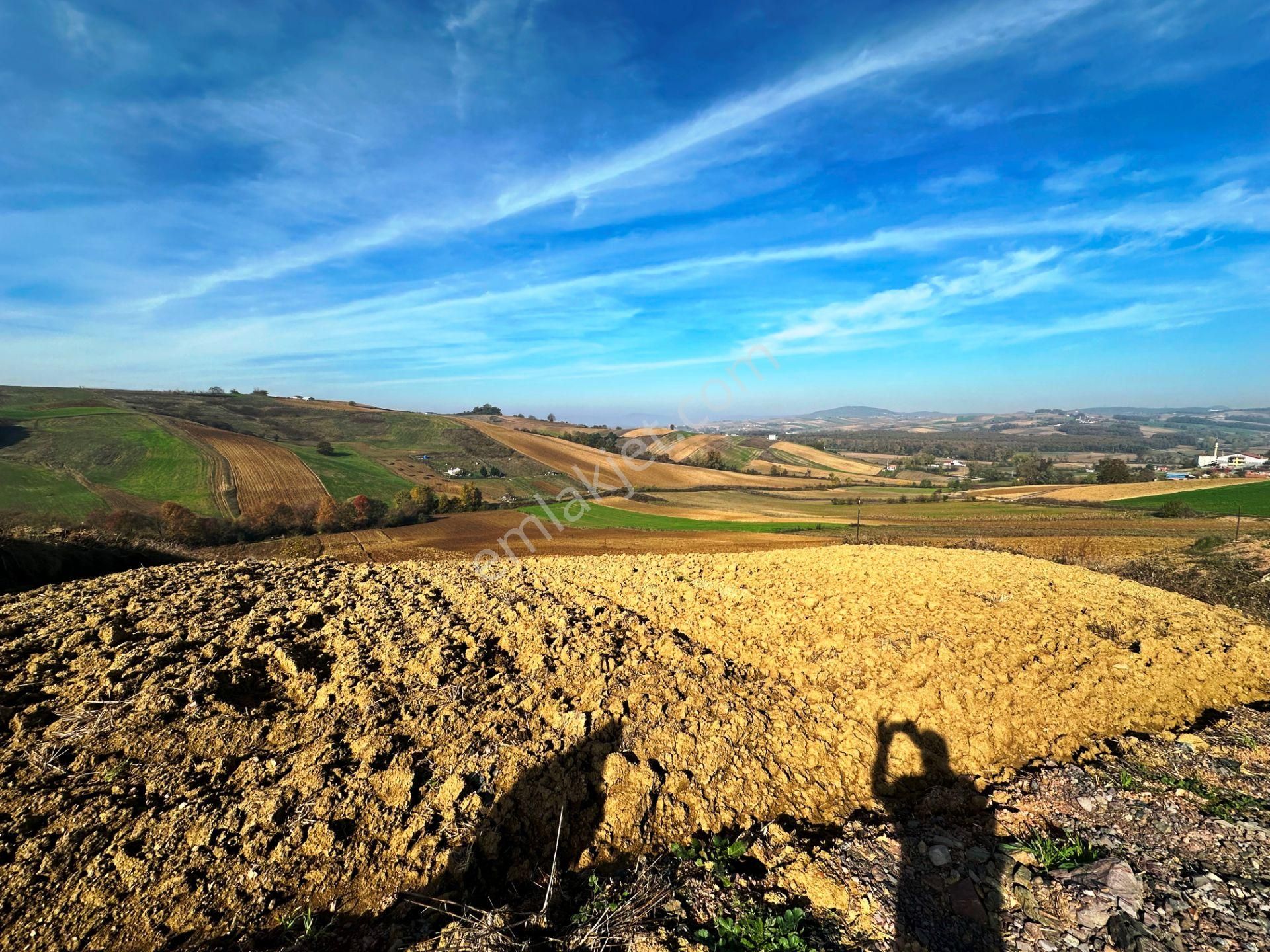 Kocaeli Üniversitesi Yakını 5 Dönüm Müstakil Parsel Satılık Arsa - Görsel 27