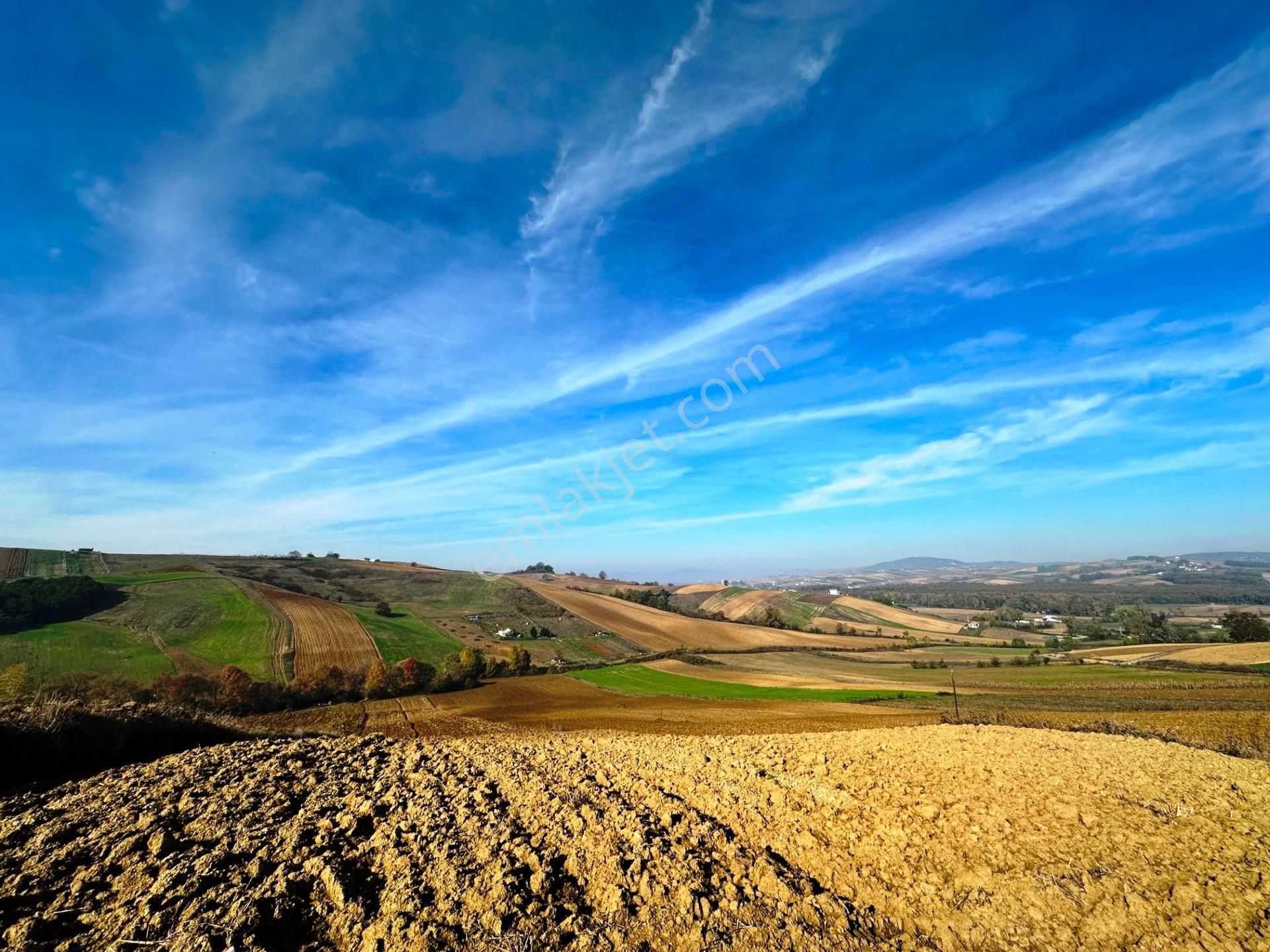 Kocaeli Üniversitesi Yakını 5 Dönüm Müstakil Parsel Satılık Arsa - Görsel 35