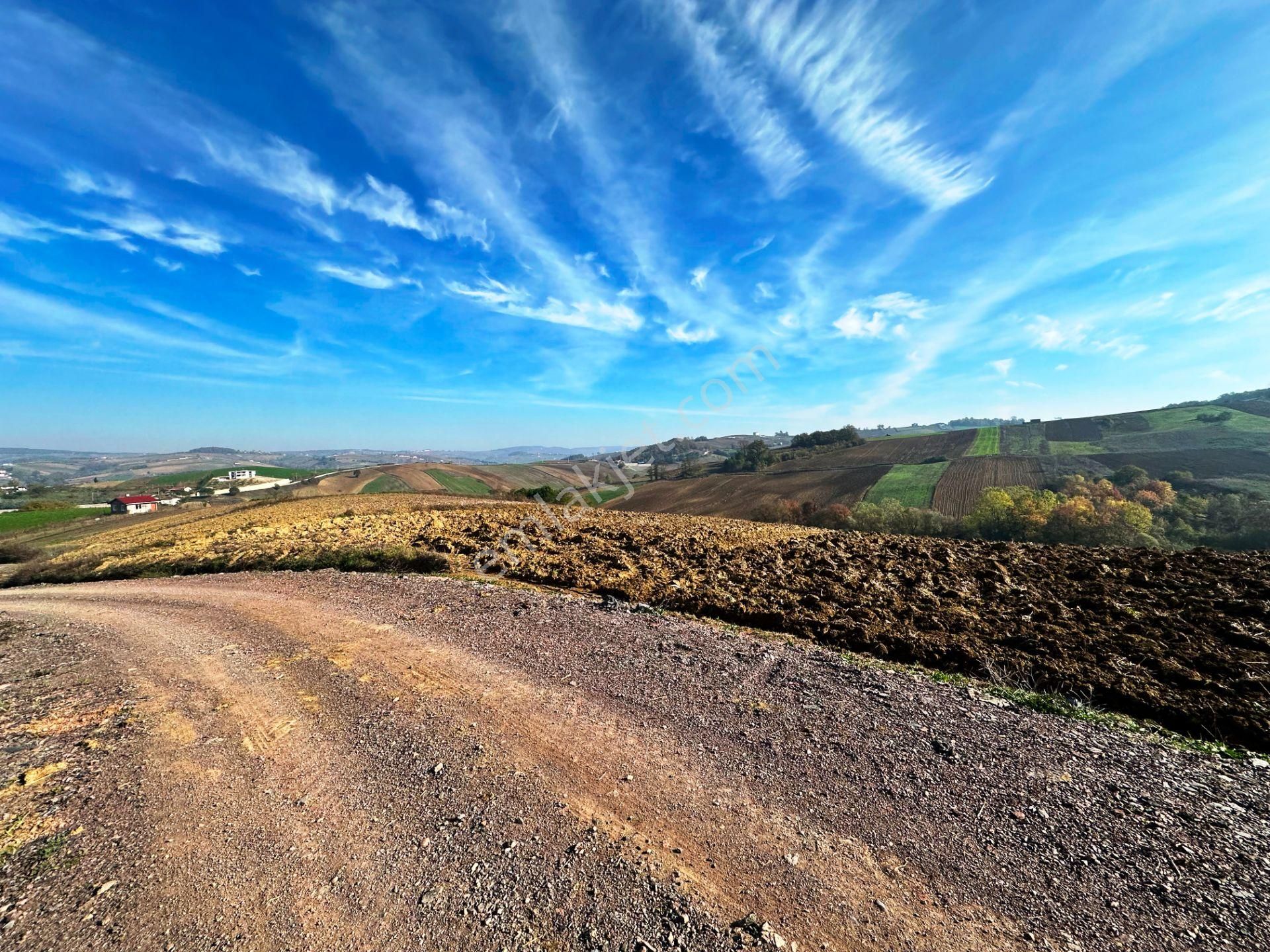 Kocaeli Üniversitesi Yakını 5 Dönüm Müstakil Parsel Satılık Arsa - Görsel 25
