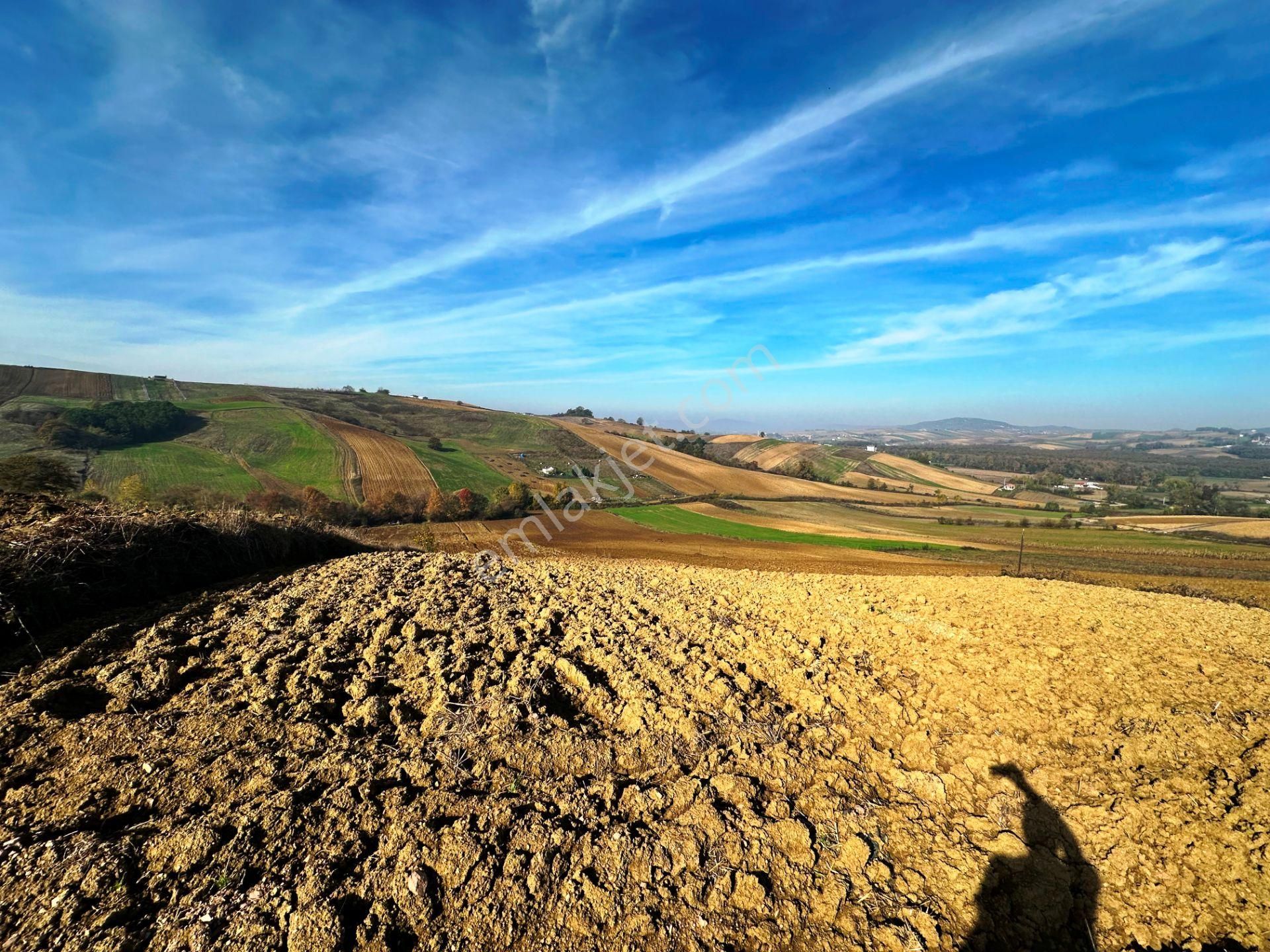 Kocaeli Üniversitesi Yakını 5 Dönüm Müstakil Parsel Satılık Arsa - Görsel 24