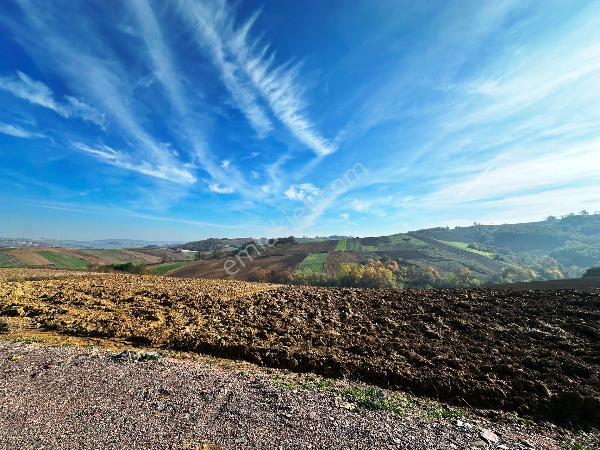 Kocaeli Üniversitesi Yakını 5 Dönüm Müstakil Parsel Satılık Arsa - Görsel 4