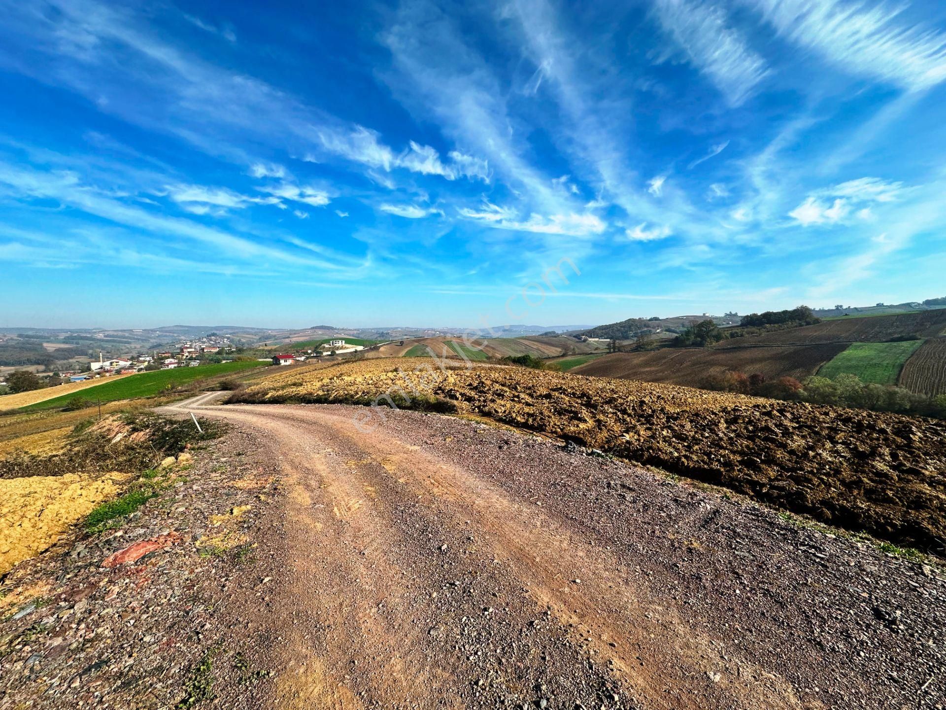 Kocaeli Üniversitesi Yakını 5 Dönüm Müstakil Parsel Satılık Arsa - Görsel 13