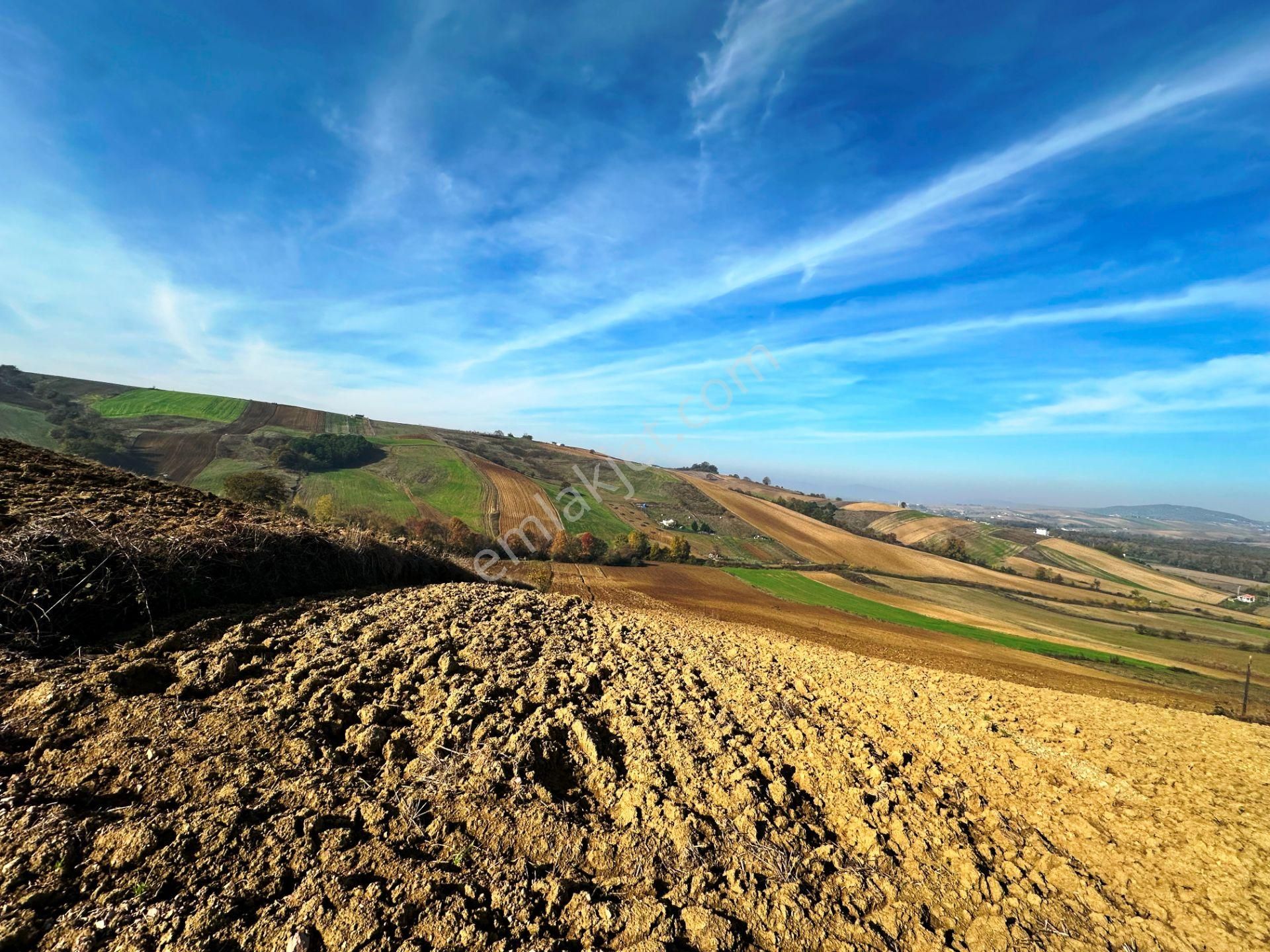 Kocaeli Üniversitesi Yakını 5 Dönüm Müstakil Parsel Satılık Arsa - Görsel 32
