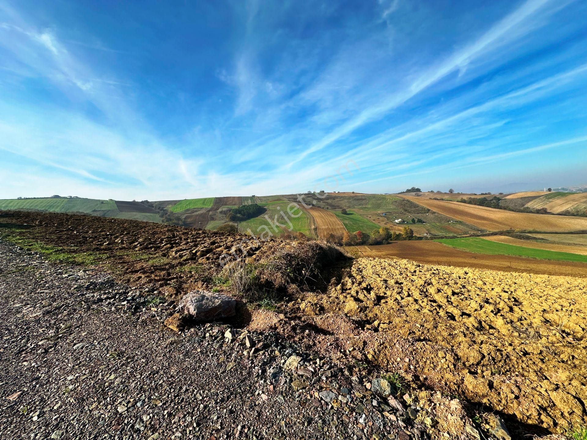 Kocaeli Üniversitesi Yakını 5 Dönüm Müstakil Parsel Satılık Arsa - Görsel 7
