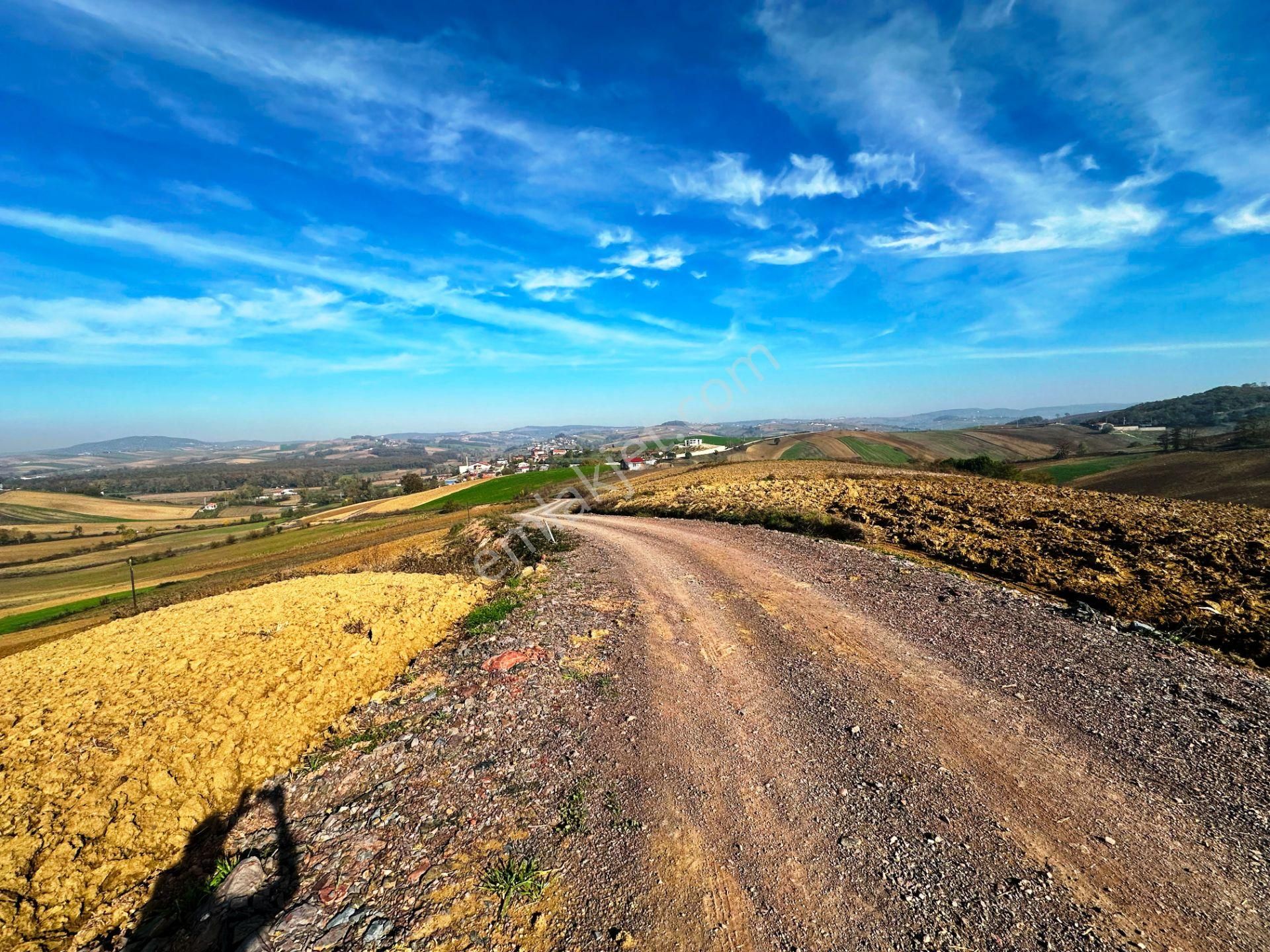 Kocaeli Üniversitesi Yakını 5 Dönüm Müstakil Parsel Satılık Arsa - Görsel 19
