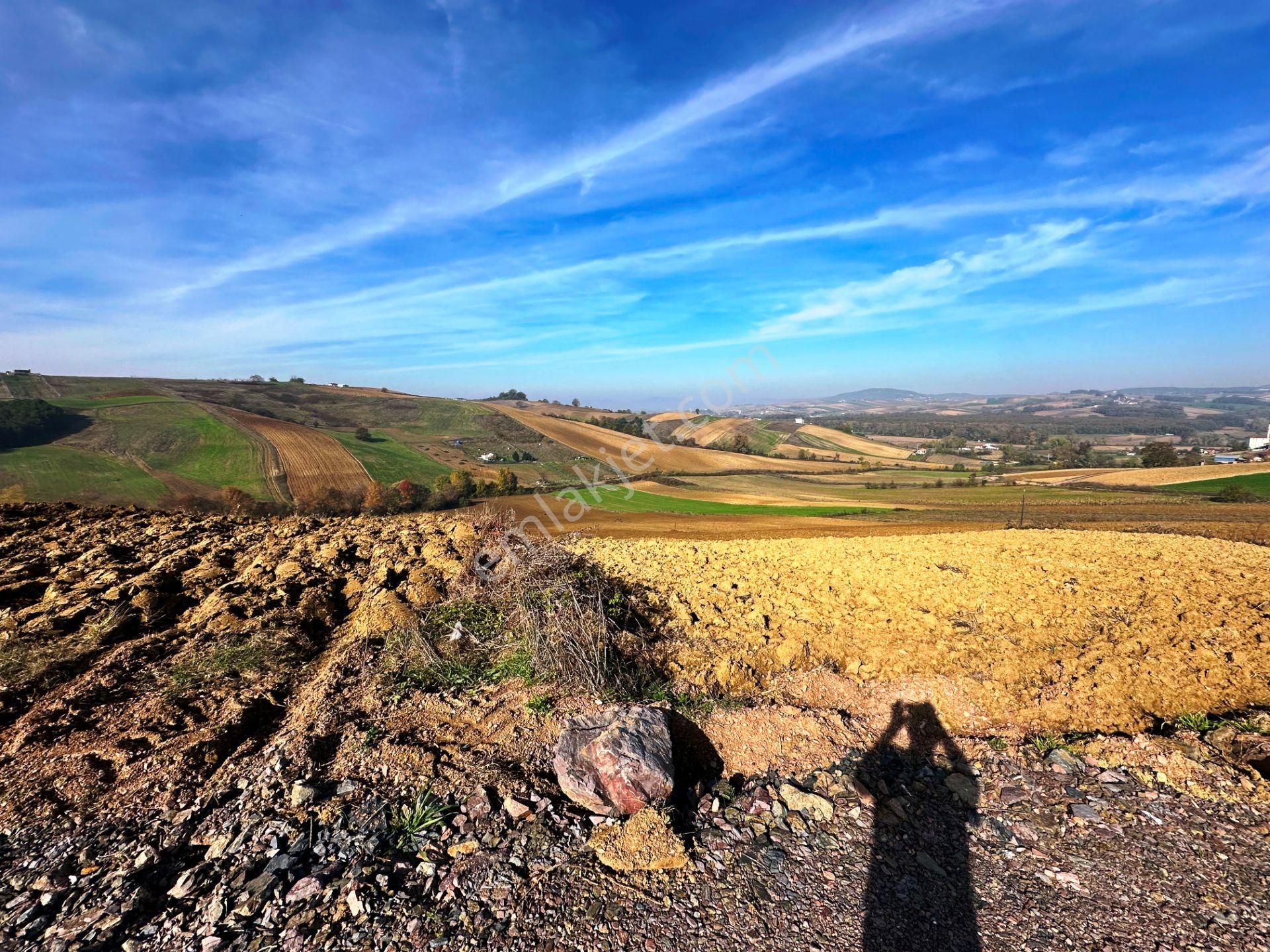 Kocaeli Üniversitesi Yakını 5 Dönüm Müstakil Parsel Satılık Arsa - Görsel 23