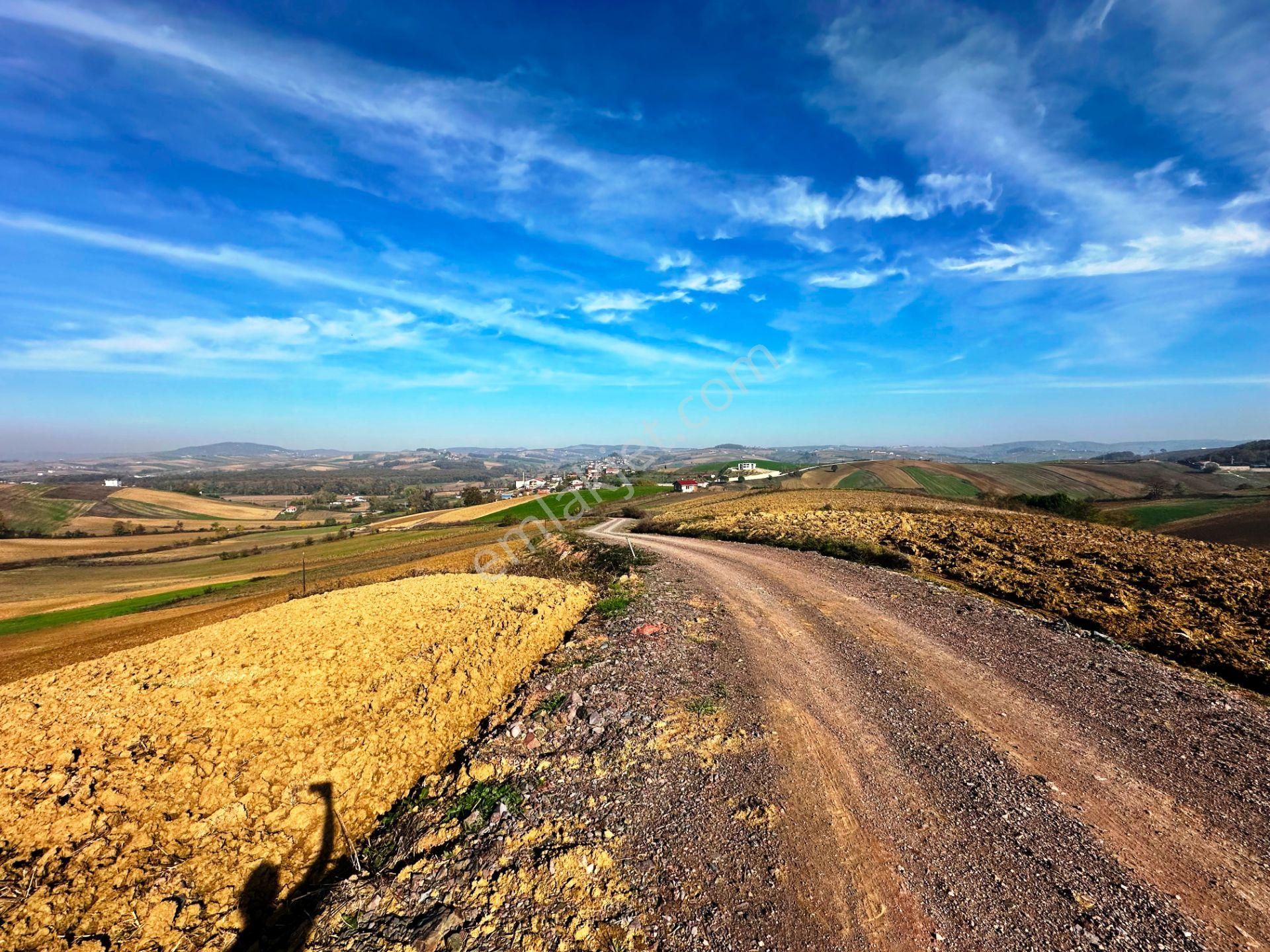 Kocaeli Üniversitesi Yakını 5 Dönüm Müstakil Parsel Satılık Arsa - Görsel 16