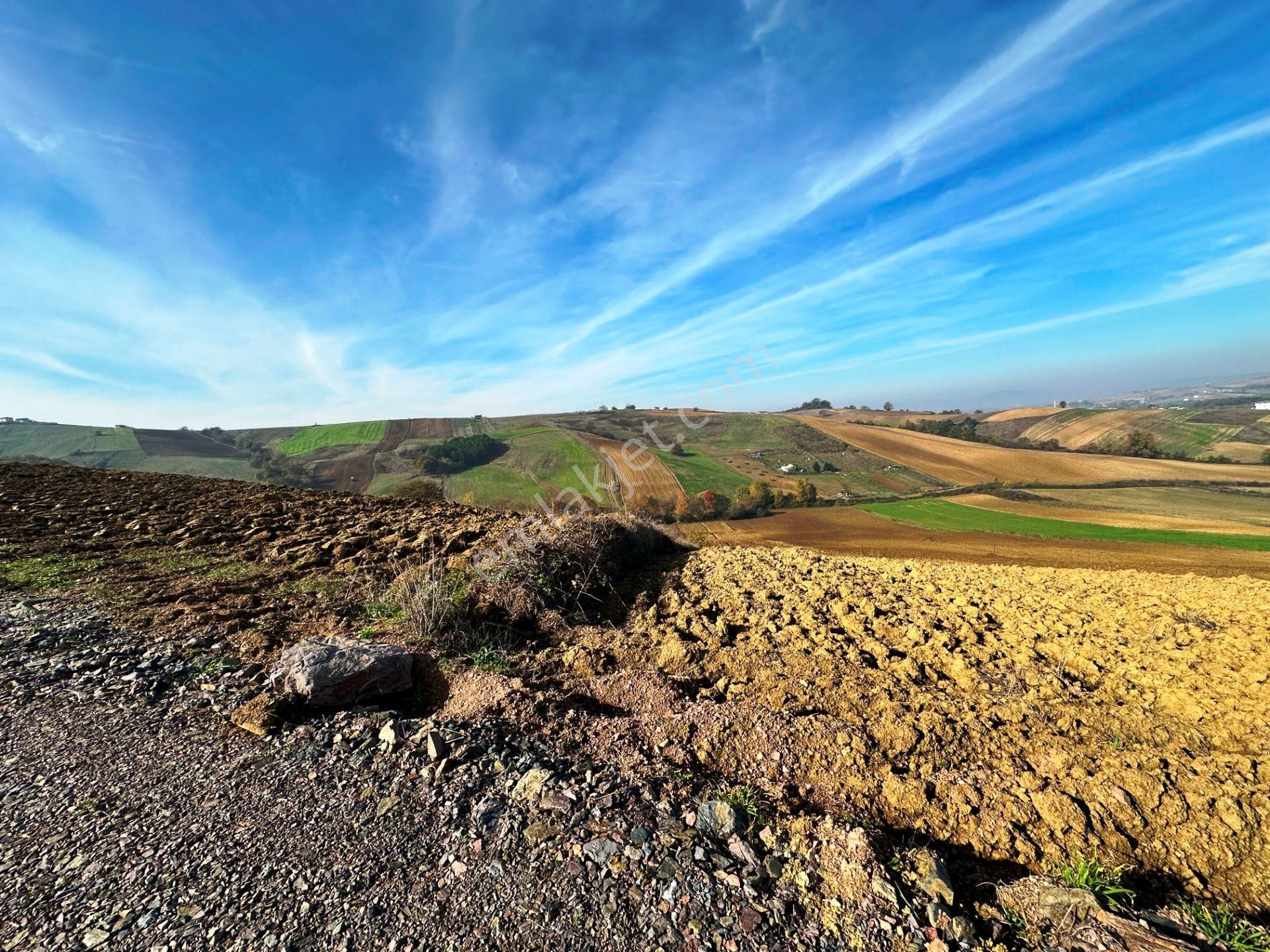 Kocaeli Üniversitesi Yakını 5 Dönüm Müstakil Parsel Satılık Arsa - Görsel 6