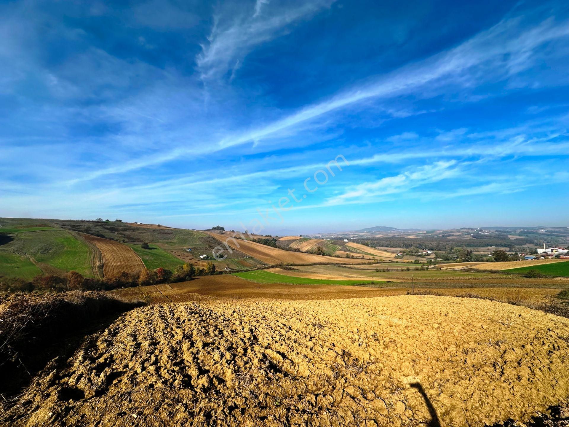 Kocaeli Üniversitesi Yakını 5 Dönüm Müstakil Parsel Satılık Arsa - Görsel 31