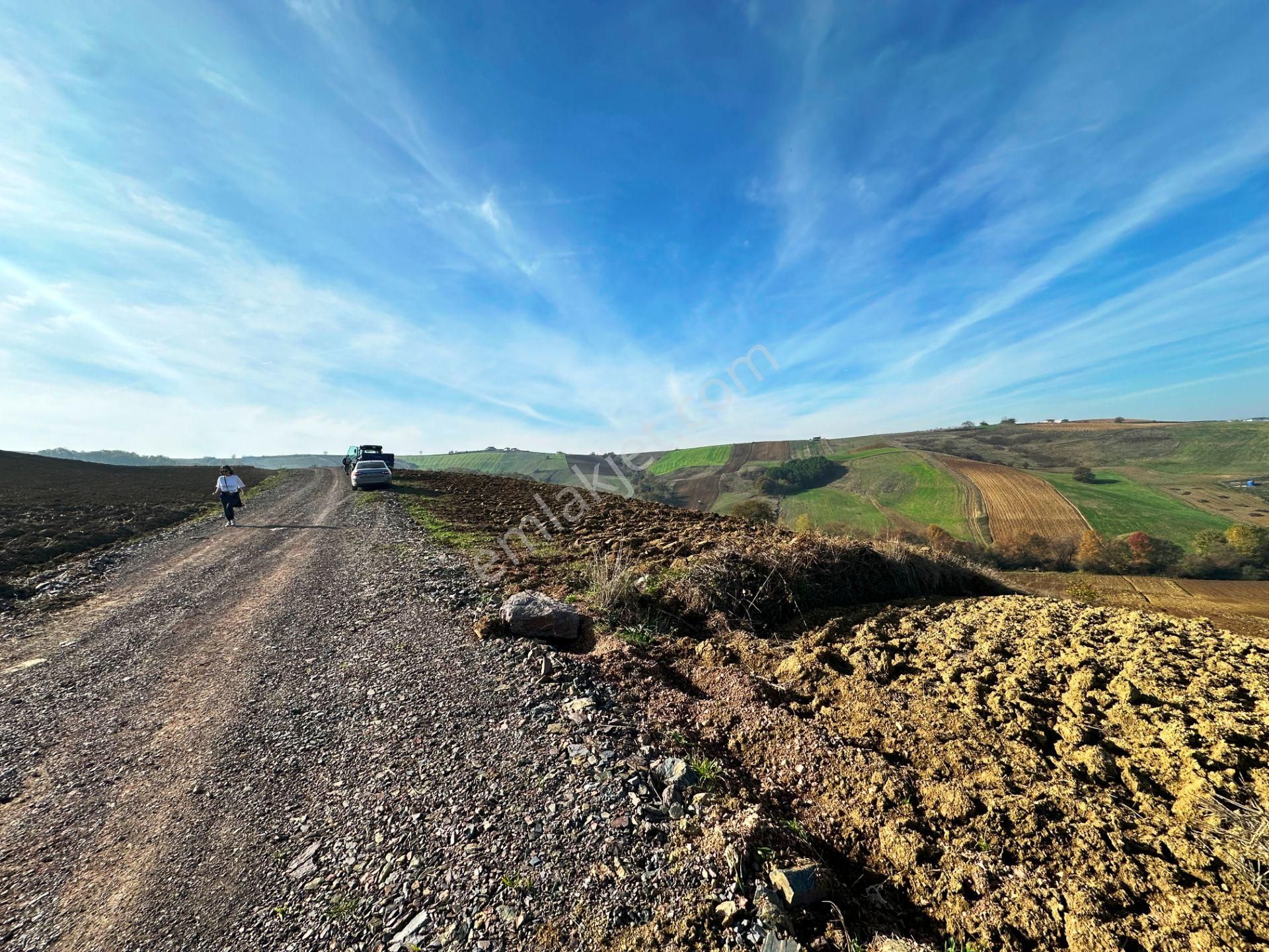 Kocaeli Üniversitesi Yakını 5 Dönüm Müstakil Parsel Satılık Arsa