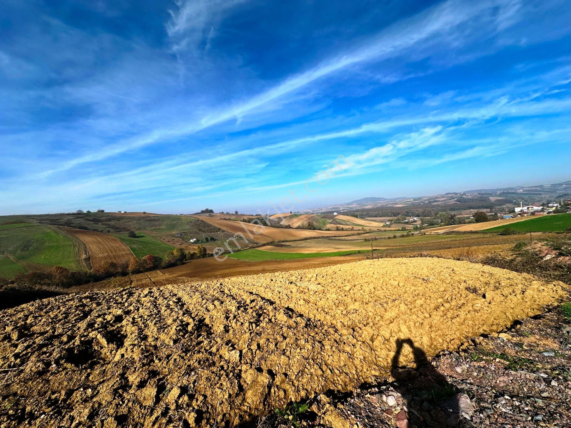 Kocaeli Üniversitesi Yakını 5 Dönüm Müstakil Parsel Satılık Arsa - Görsel 28