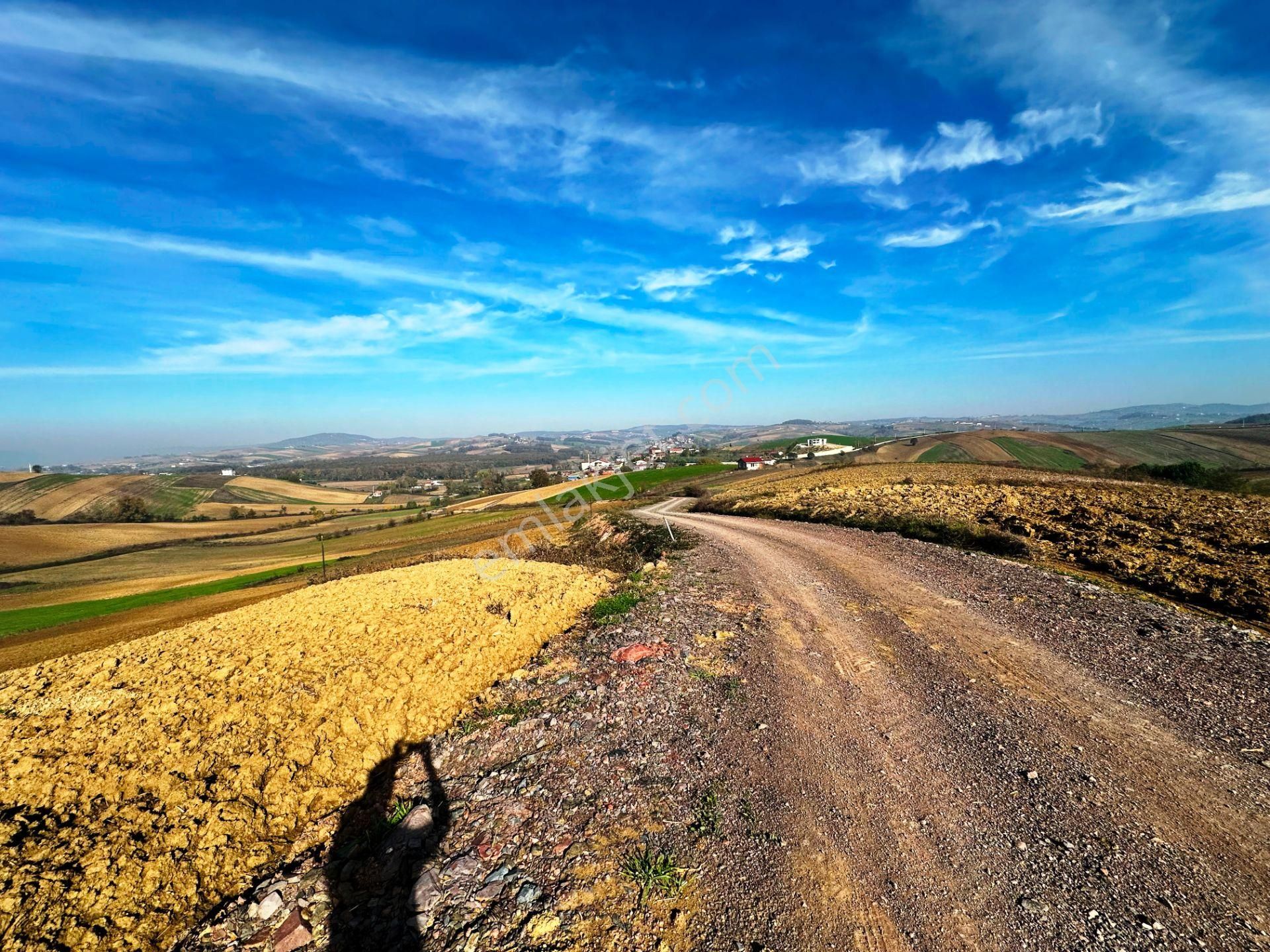 Kocaeli Üniversitesi Yakını 5 Dönüm Müstakil Parsel Satılık Arsa - Görsel 17