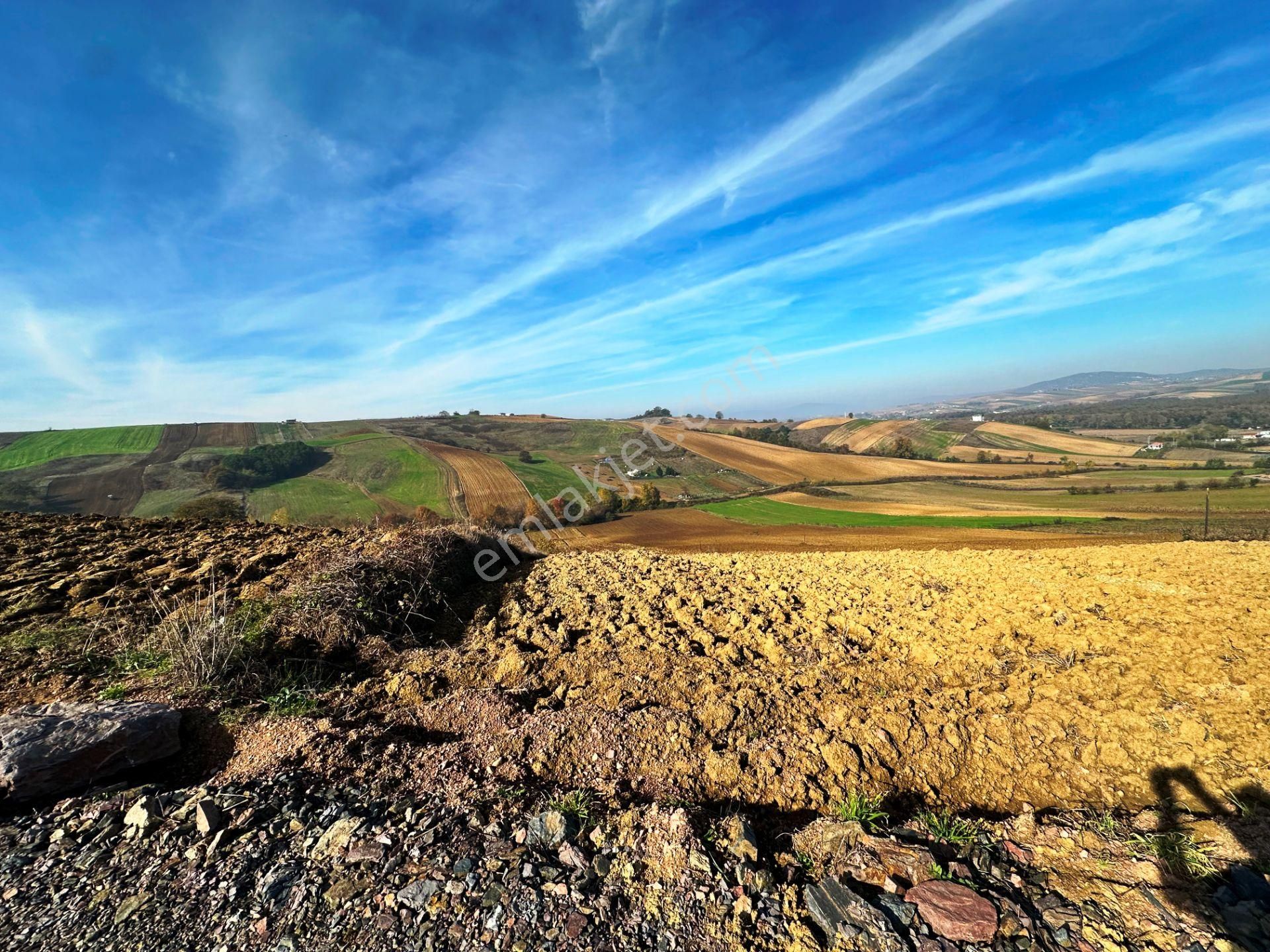 Kocaeli Üniversitesi Yakını 5 Dönüm Müstakil Parsel Satılık Arsa - Görsel 5