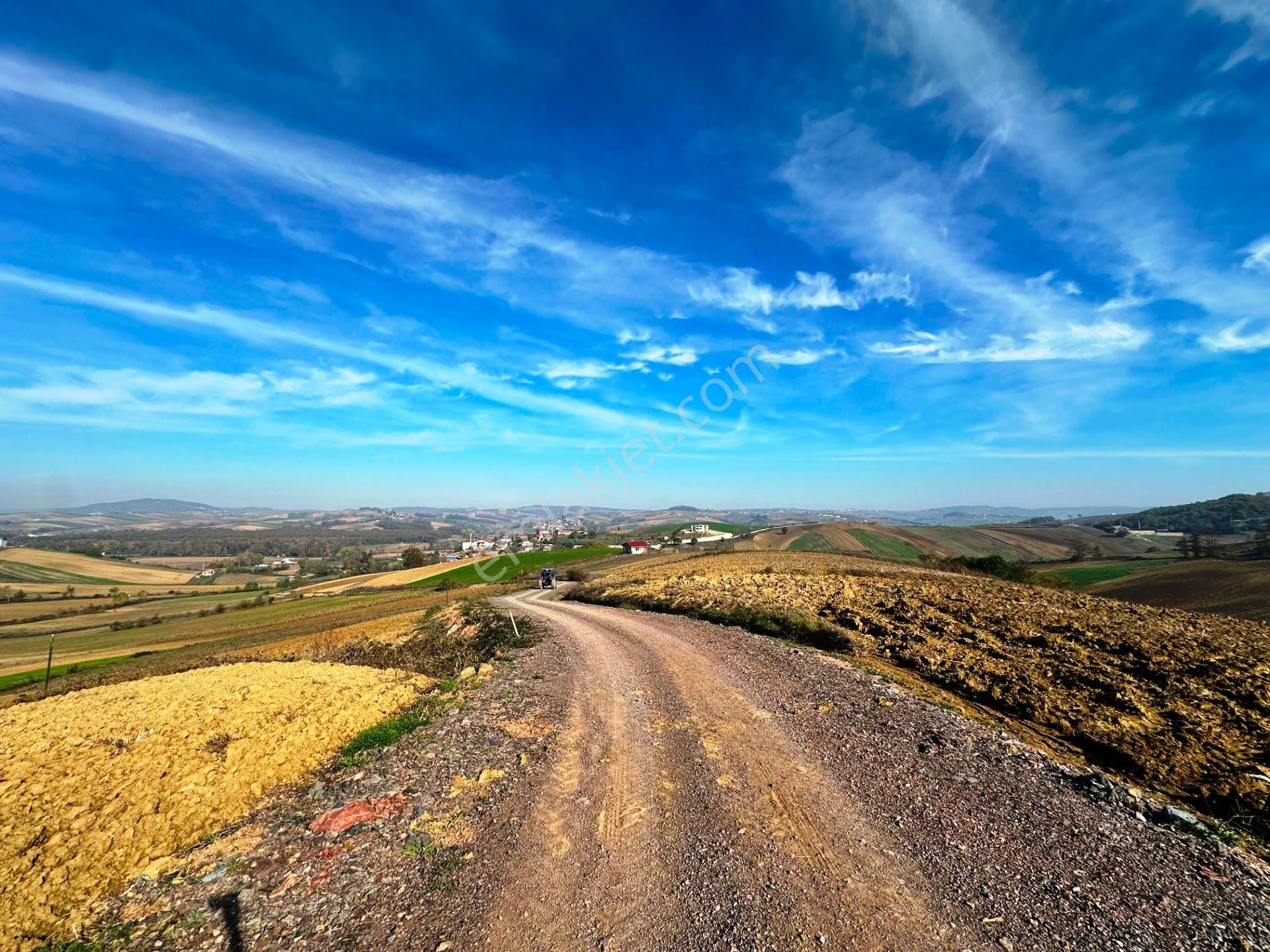 Kocaeli Üniversitesi Yakını 5 Dönüm Müstakil Parsel Satılık Arsa - Görsel 12