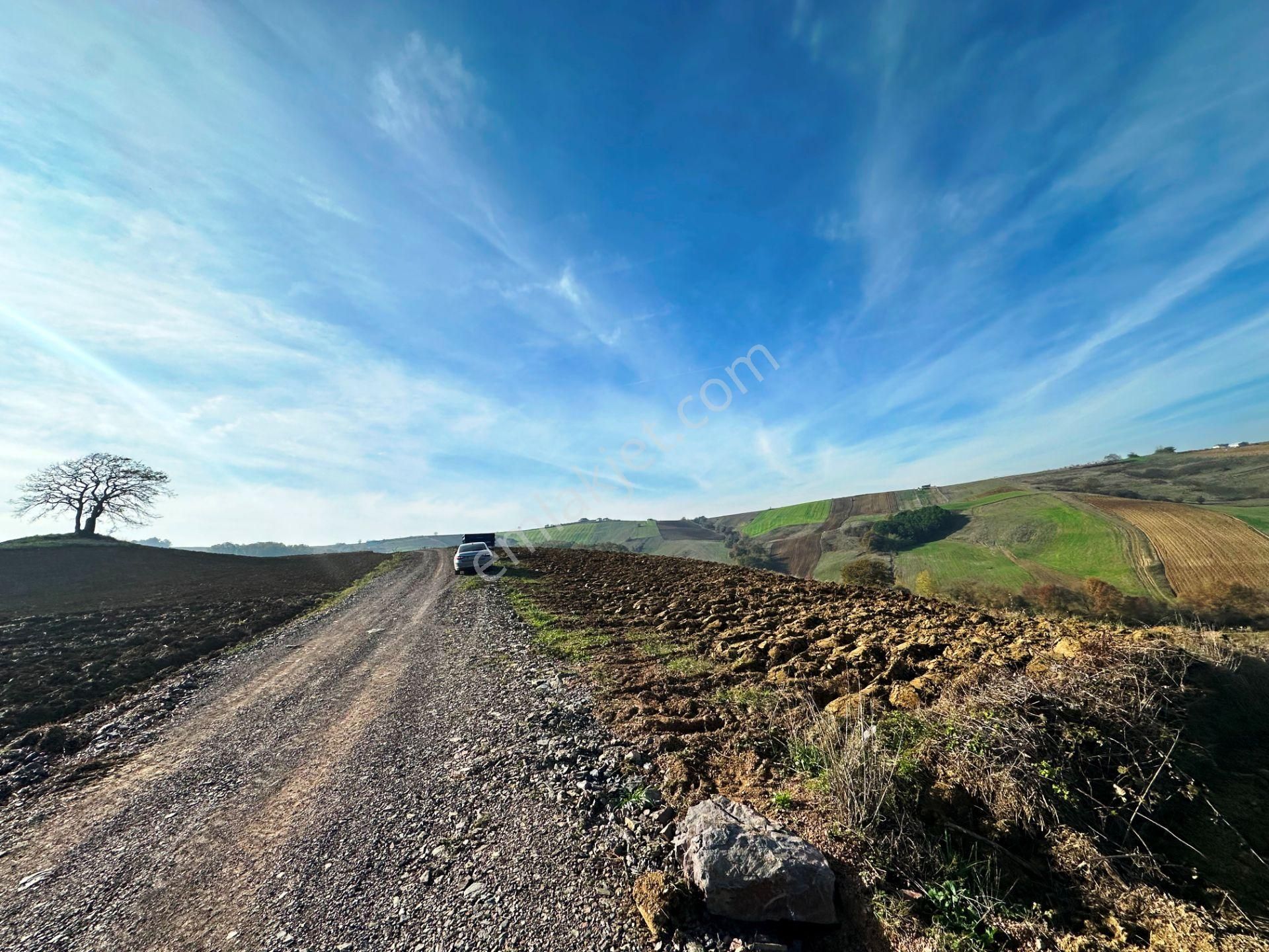 Kocaeli Üniversitesi Yakını 5 Dönüm Müstakil Parsel Satılık Arsa - Görsel 2