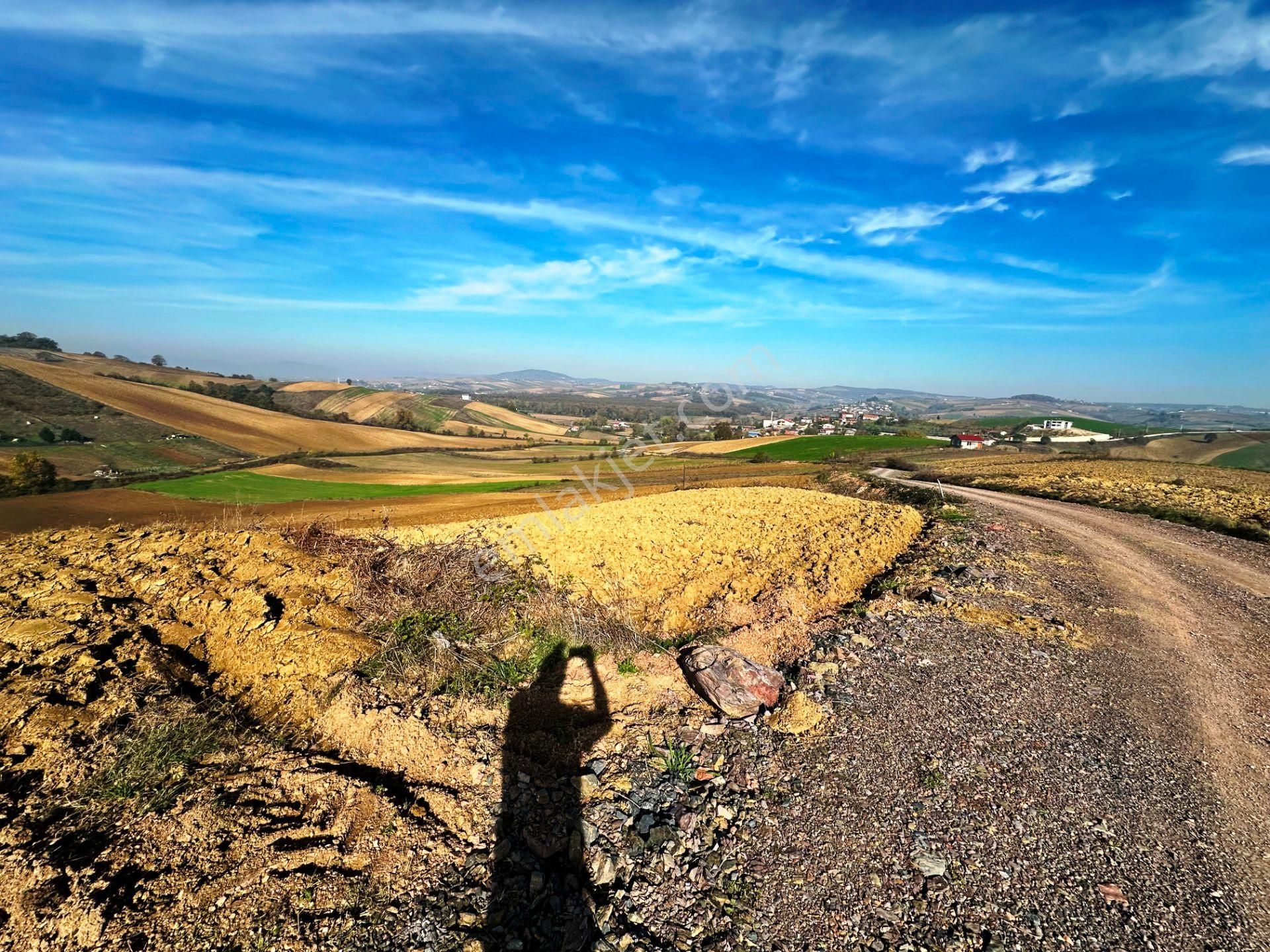 Kocaeli Üniversitesi Yakını 5 Dönüm Müstakil Parsel Satılık Arsa - Görsel 21