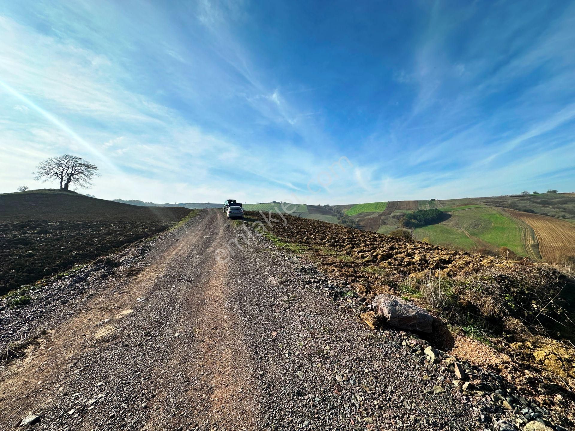 Kocaeli Üniversitesi Yakını 5 Dönüm Müstakil Parsel Satılık Arsa - Görsel 11