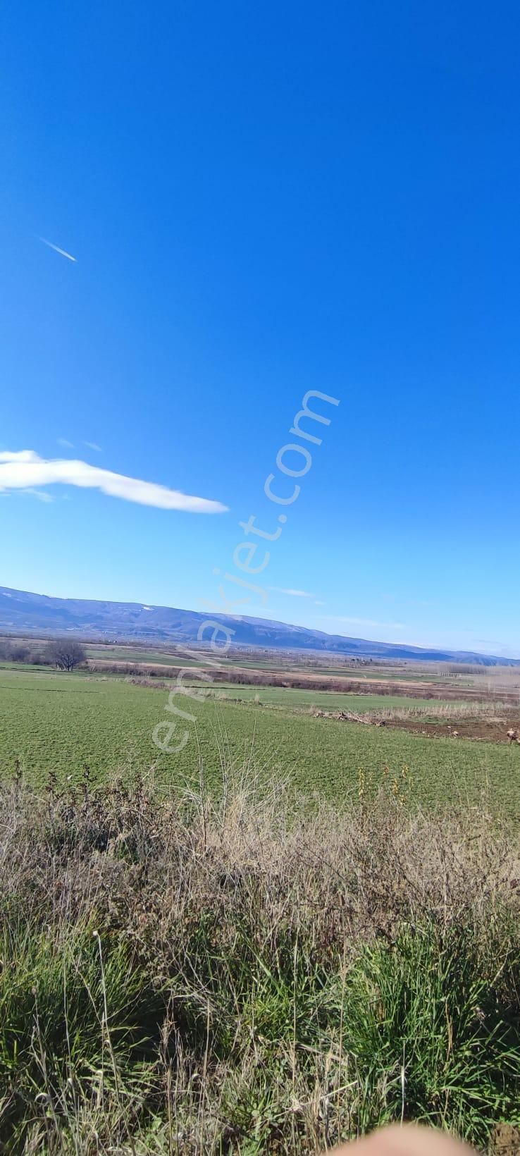 Adalet Gold Group Emlak'tan Satılık Tarla Çimenözü Uygun Fiyata - Görsel 6