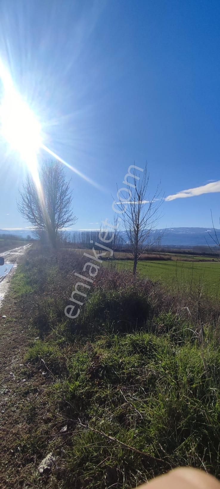 Adalet Gold Group Emlak'tan Satılık Tarla Çimenözü Uygun Fiyata - Görsel 3