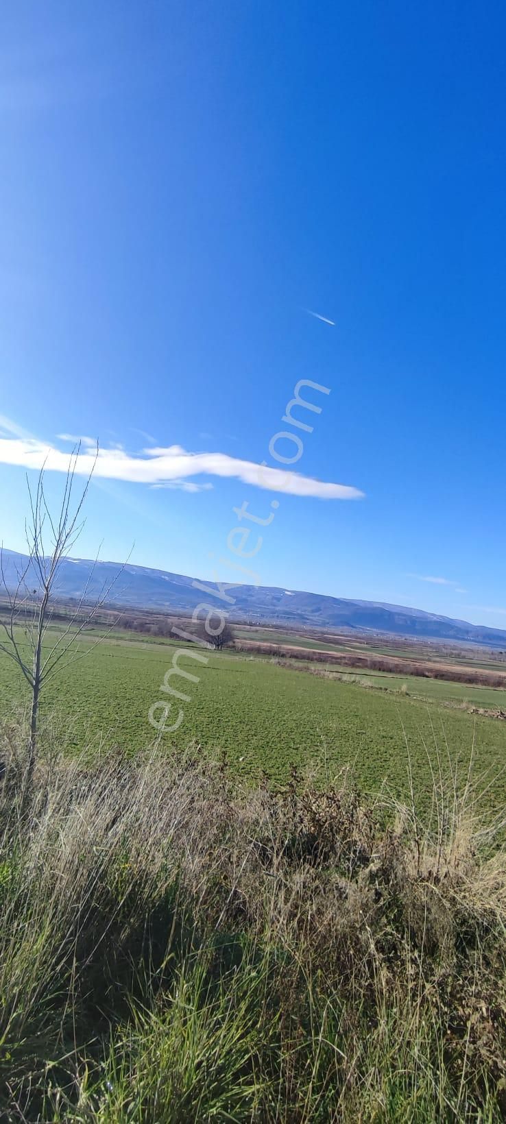 Adalet Gold Group Emlak'tan Satılık Tarla Çimenözü Uygun Fiyata - Görsel 2