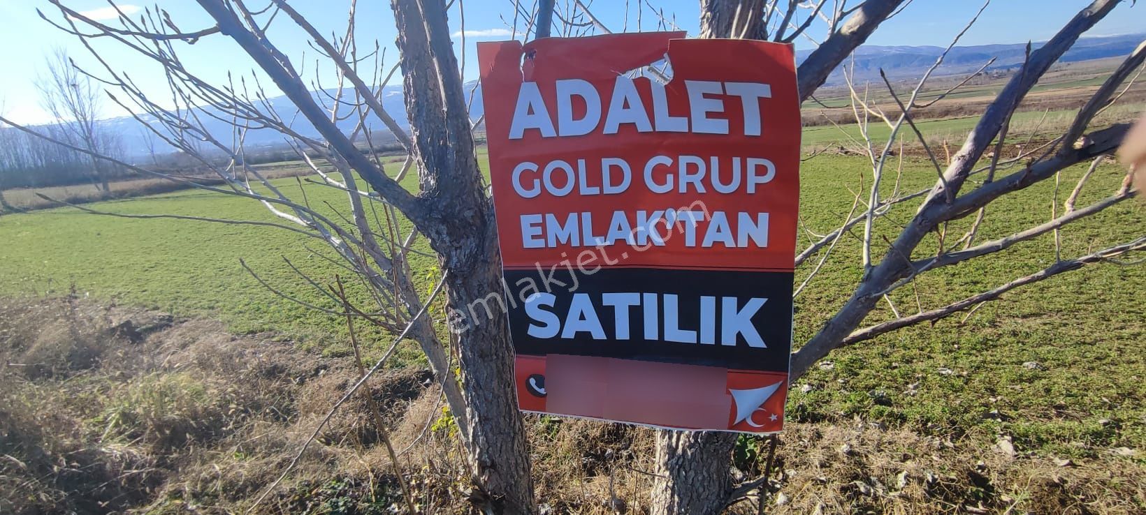 Adalet Gold Group Emlak'tan Satılık Tarla Çimenözü Uygun Fiyata