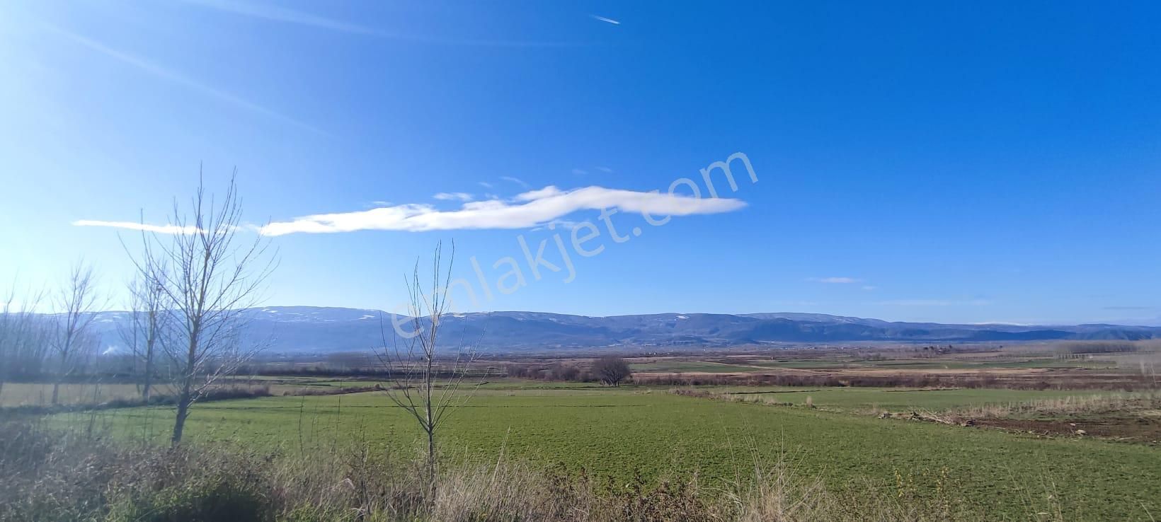 Adalet Gold Group Emlak'tan Satılık Tarla Çimenözü Uygun Fiyata - Görsel 4