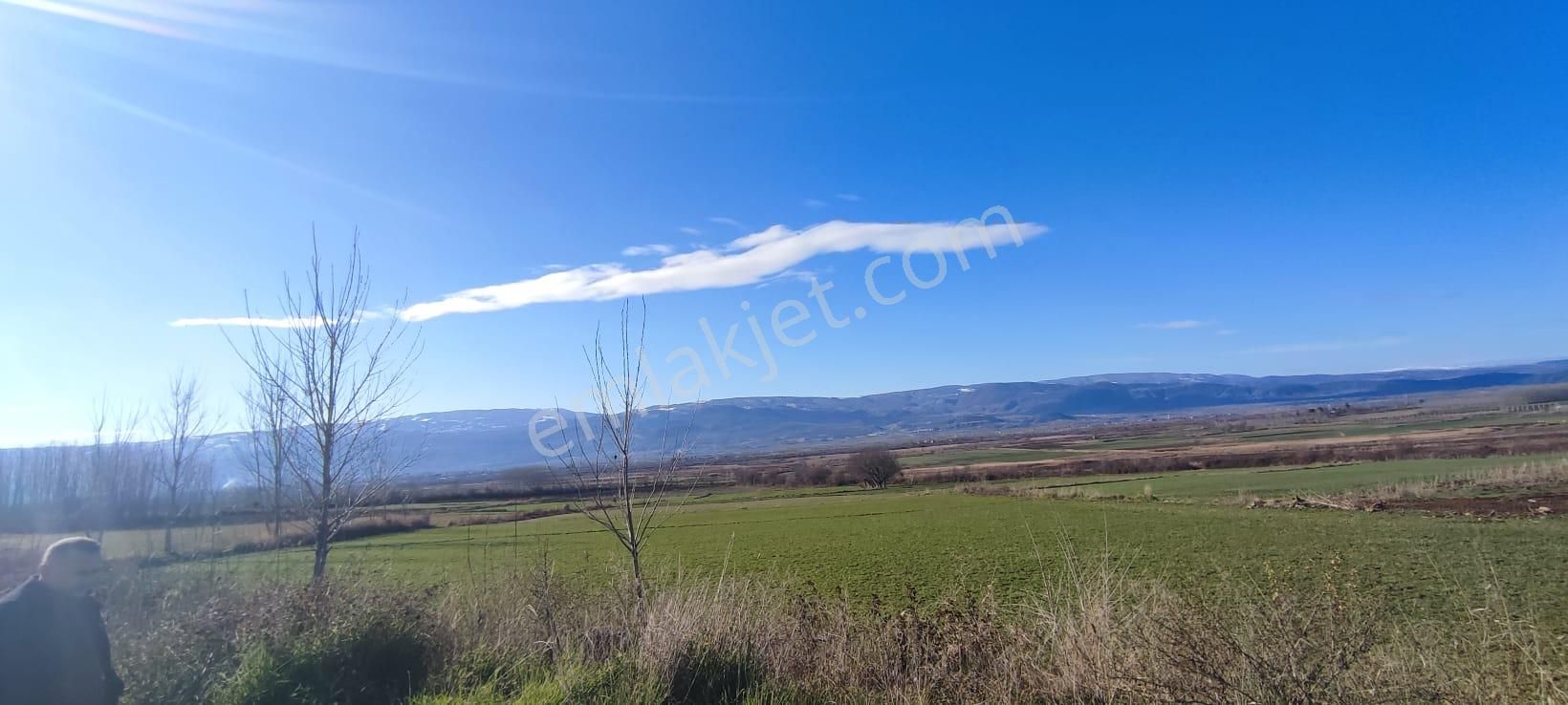 Adalet Gold Group Emlak'tan Satılık Tarla Çimenözü Uygun Fiyata - Görsel 7