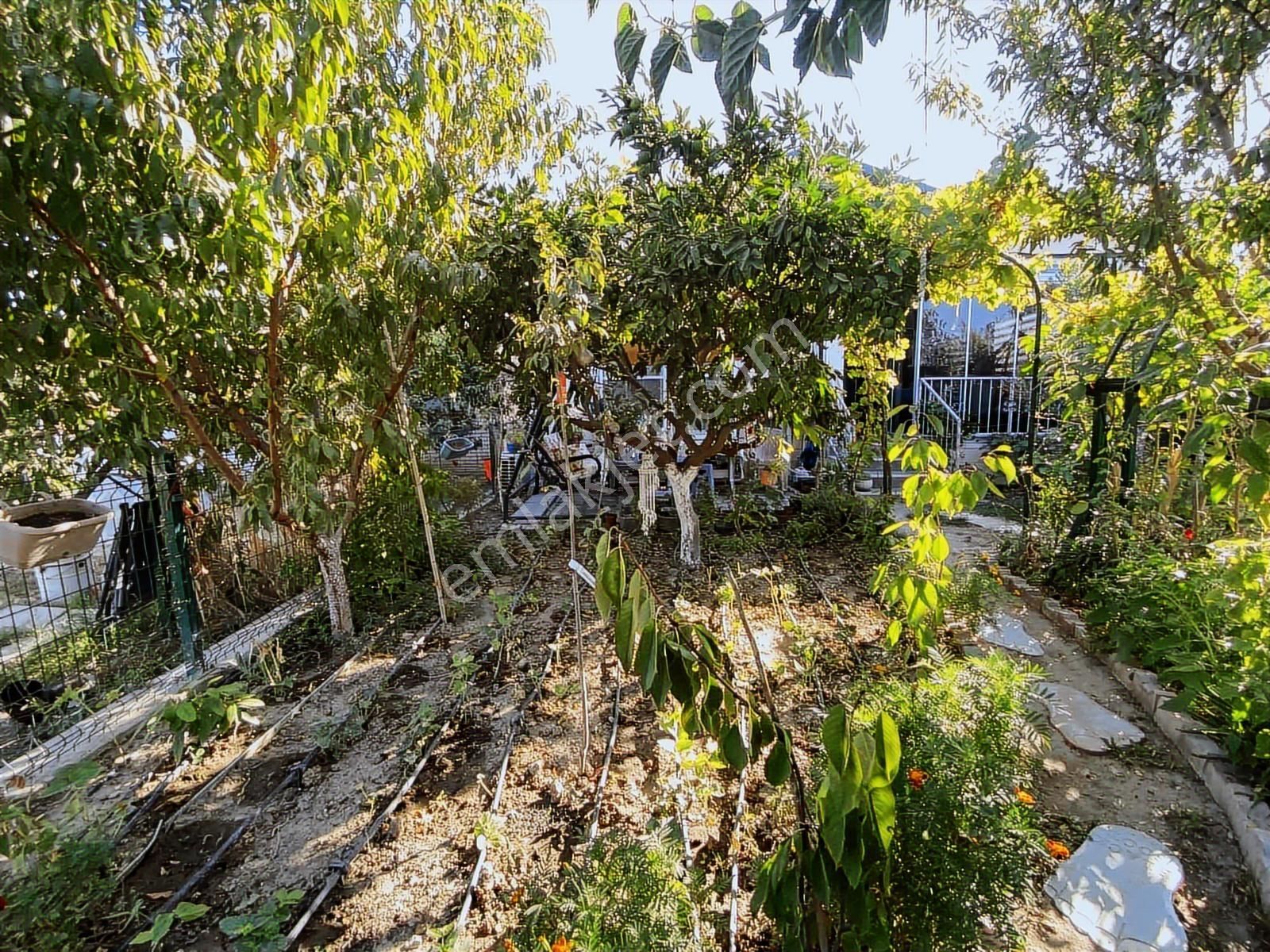 Kale İçine Yürüme Mesafesinde 2+1 Botanik Bahçeli Müstakil - Görsel 13