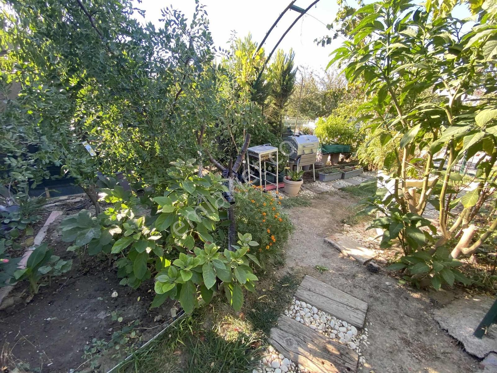 Kale İçine Yürüme Mesafesinde 2+1 Botanik Bahçeli Müstakil - Görsel 14