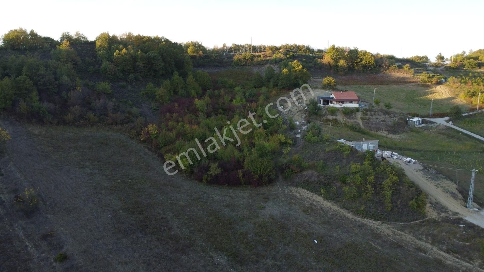 Acill Satılık Ereğlide Güzel Konumda 9600 M2 Tarla - Görsel 10