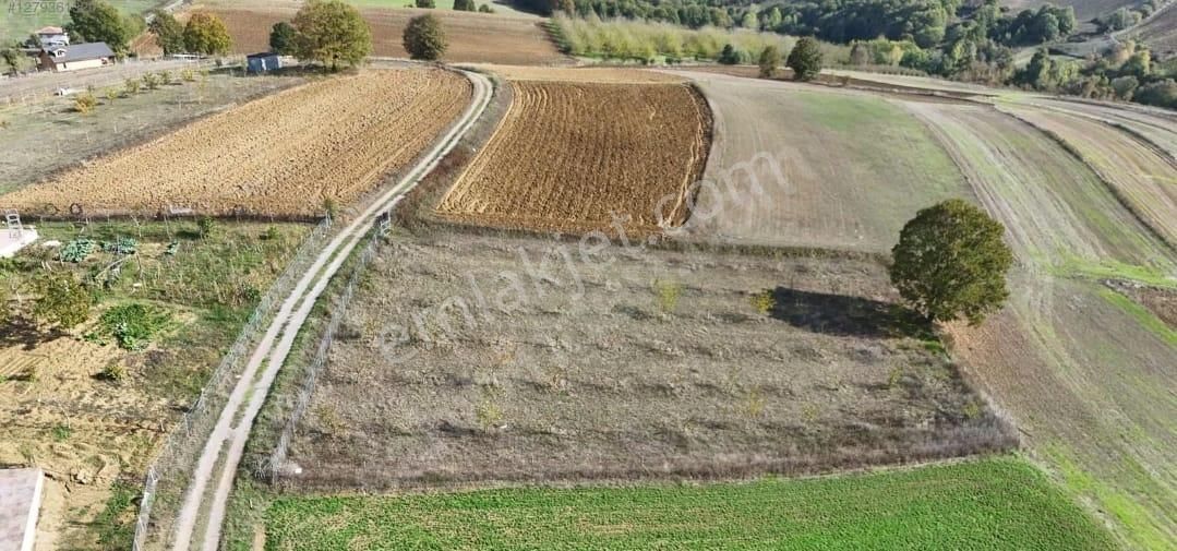 Sakarya Adapazarı Karadavutlu Da Haluk Zor Gayrimenkul Den Konut İmarlı Koy İçi Arazi 2968m2