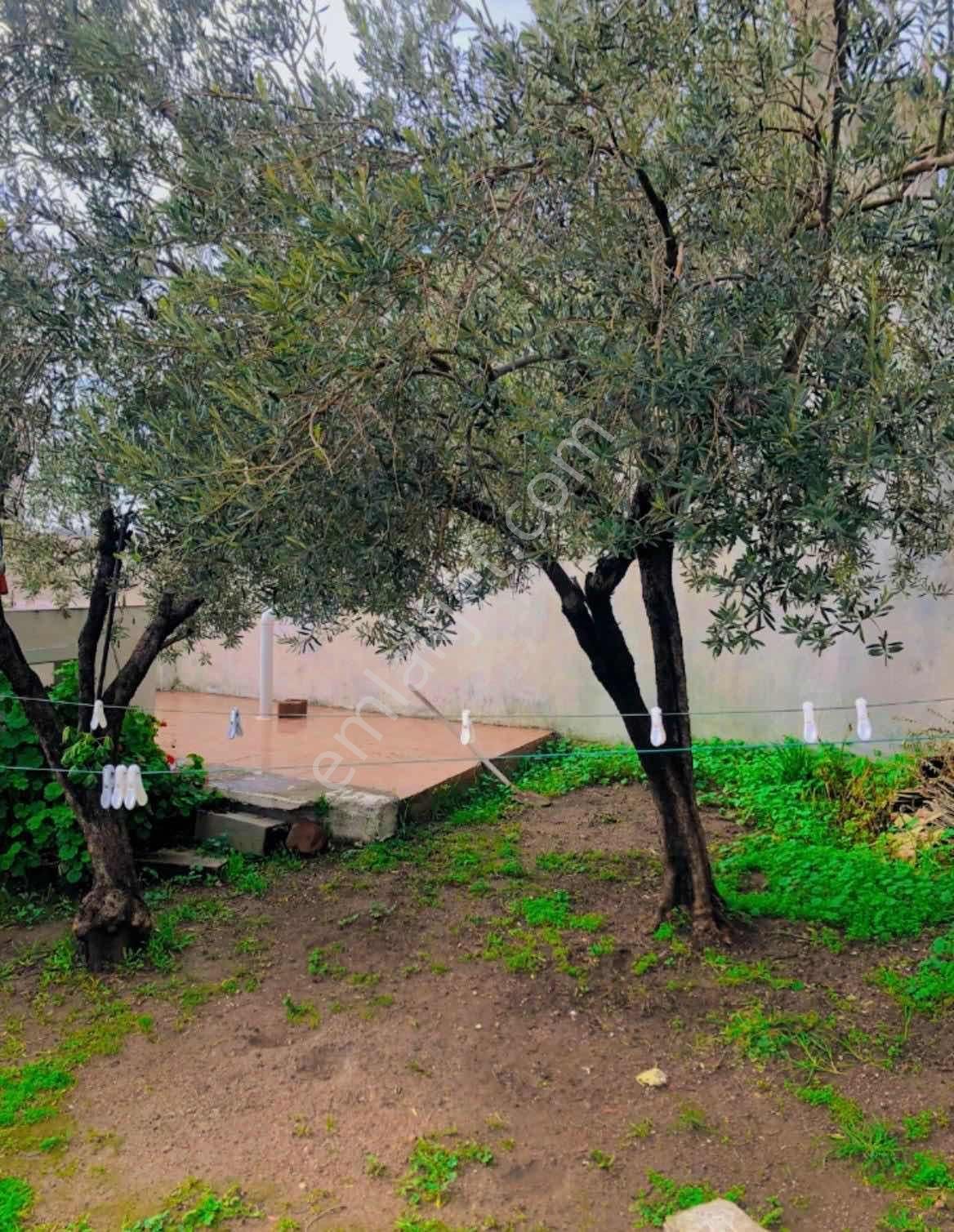 Route 10 Gayrimenkulden Satılık Arsa - Görsel 9